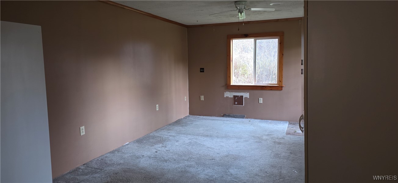 6676 West Hill Road Mansfield, NY 14755 - Photo 31 of 44