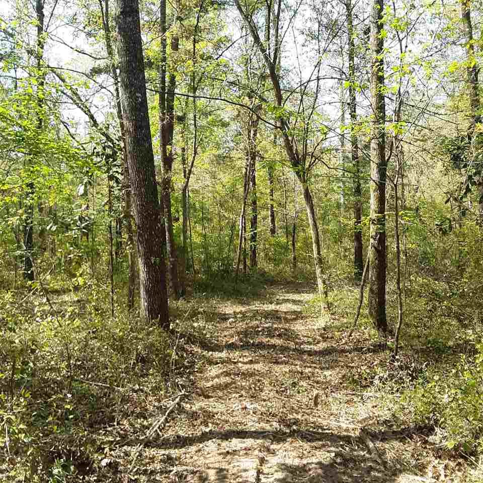 Lot 6 Ridge Road Monticello, FL 32344 - Photo 5 of 12 Gallery Image 5
