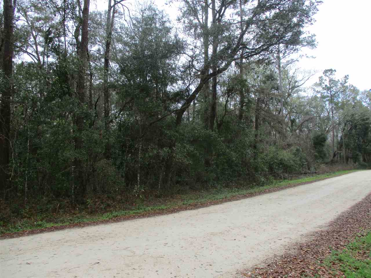 Lot 6 Ridge Road Monticello, FL 32344 - Photo 6 of 12 Gallery Image 6