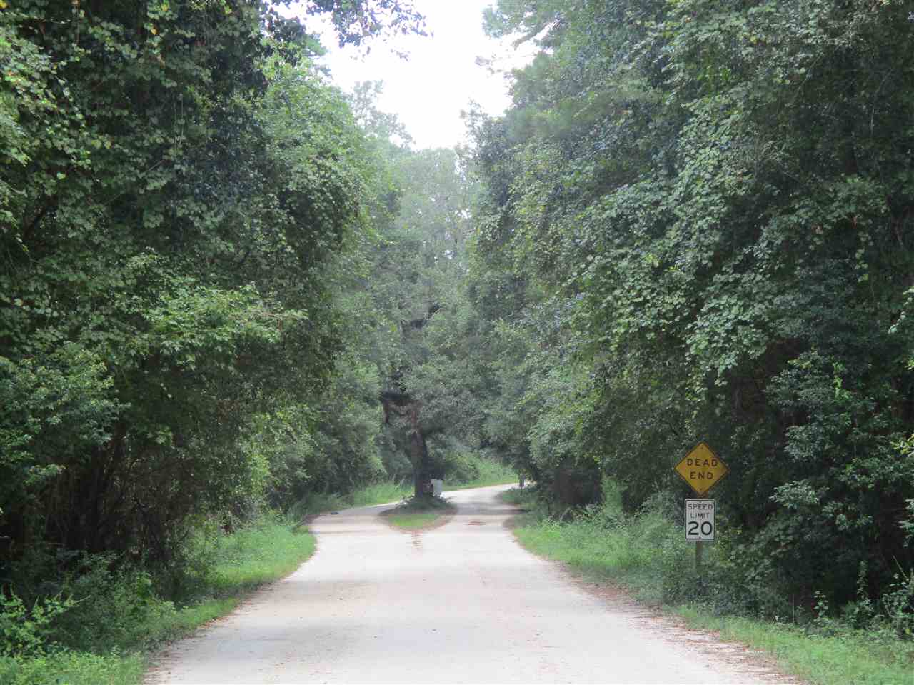 Lot 6 Ridge Road Monticello, FL 32344 - Photo 9 of 12 Gallery Image 9