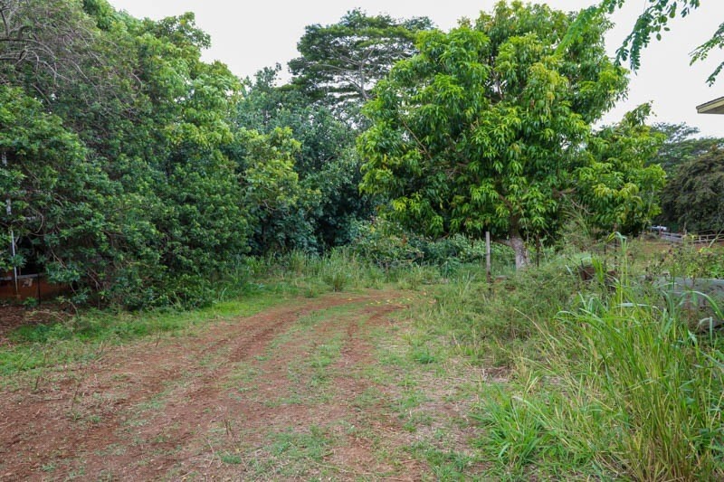 37 Omao Road Koloa, HI 96756 - Photo 4 of 29