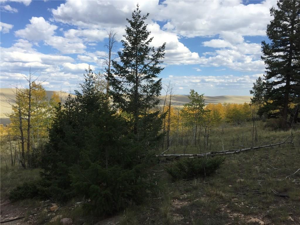 1258 Redhill Road Fairplay, CO 80440 - Photo 3 of 6 Gallery Image 3