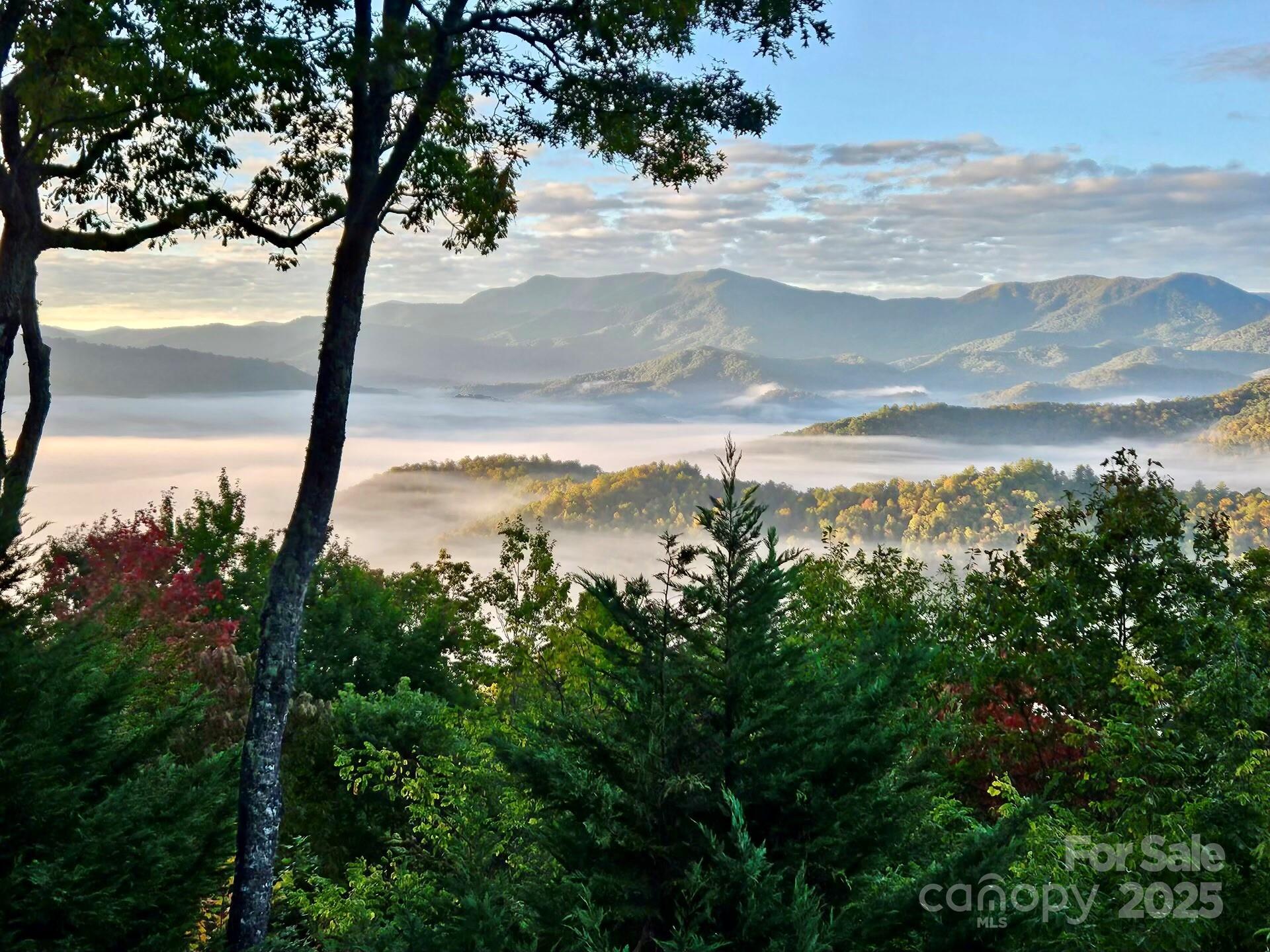 767 Garden Flats Road Franklin, NC 28734 - Photo 42 of 47 Gallery Image 42