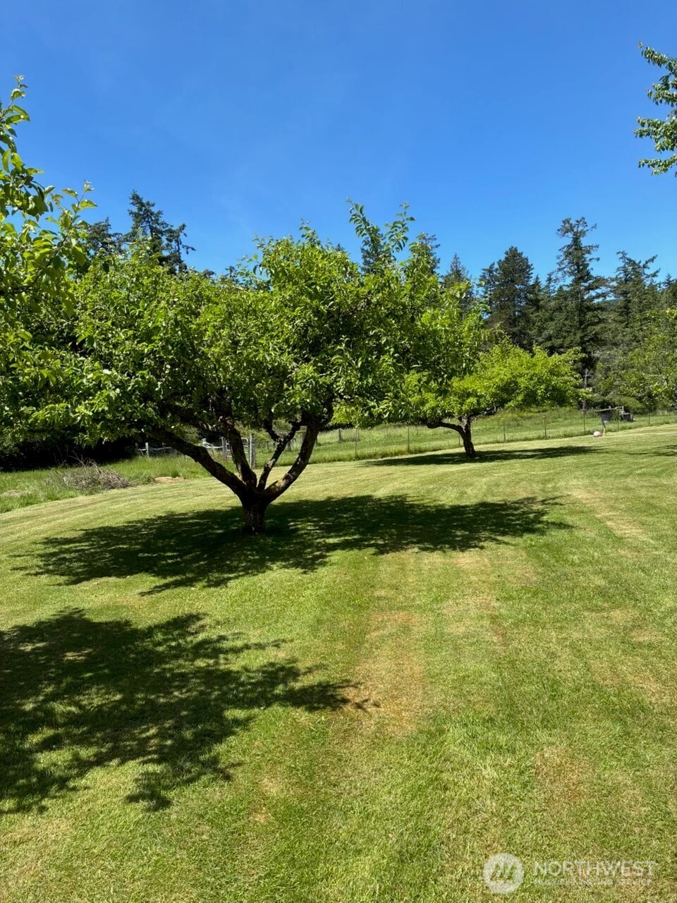 5178 Orcas Road Orcas Island, WA 98245 - Photo 28 of 34