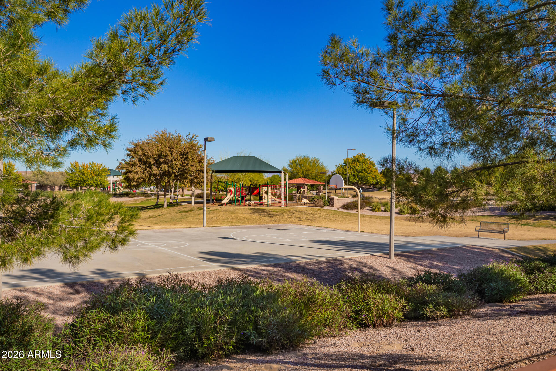 22116 East Rosa Road Queen Creek, AZ 85142 - Photo 48 of 48 Backyard View G