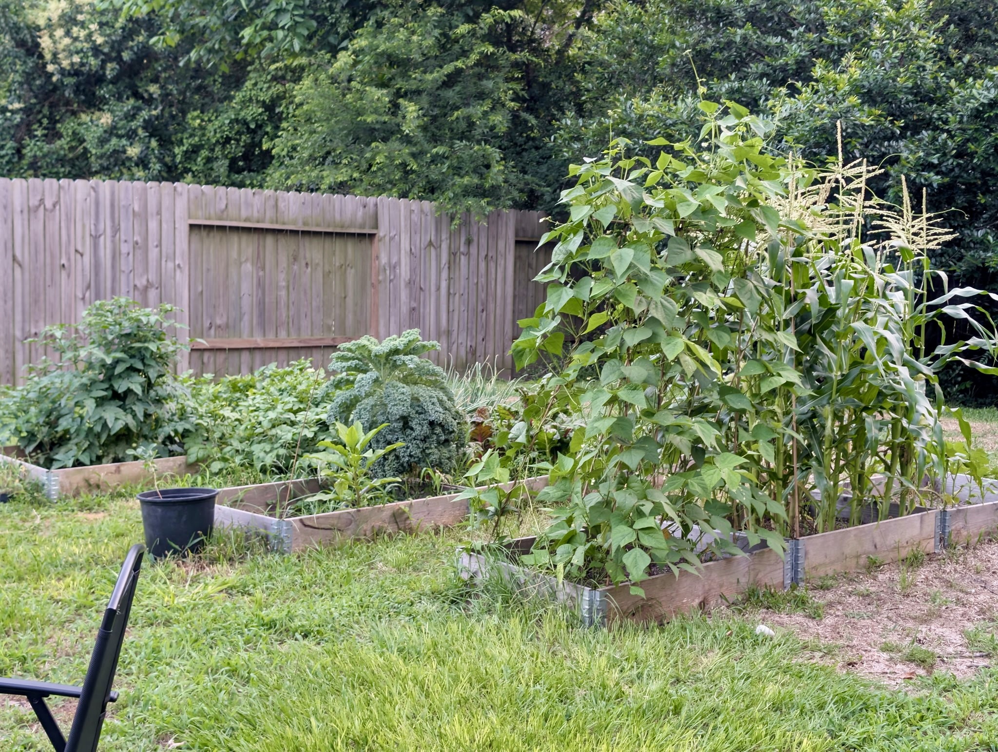 14951 Colt Lane Willis, TX 77378 - Photo 13 of 20