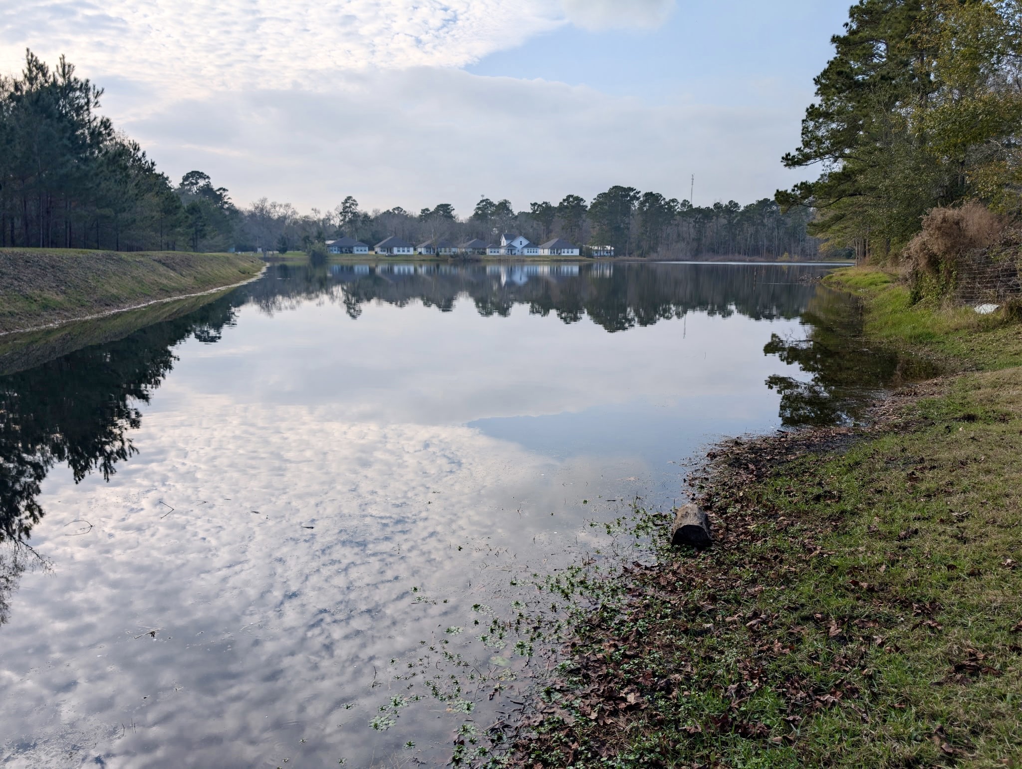 14951 Colt Lane Willis, TX 77378 - Photo 16 of 20