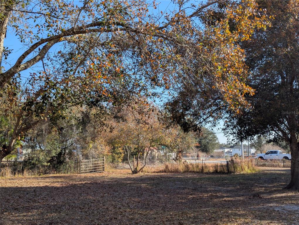 3280 Hickory Tree Road St. Cloud, FL 34772 - Photo 31 of 32