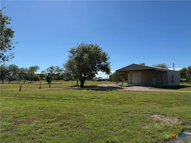a view of a large trees with a big yard