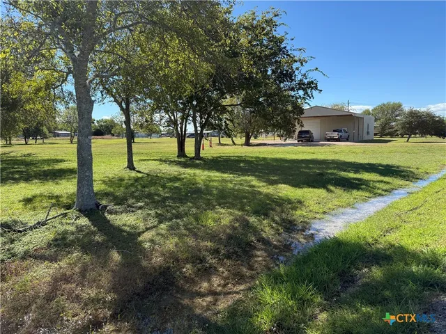 a view of a garden with trees