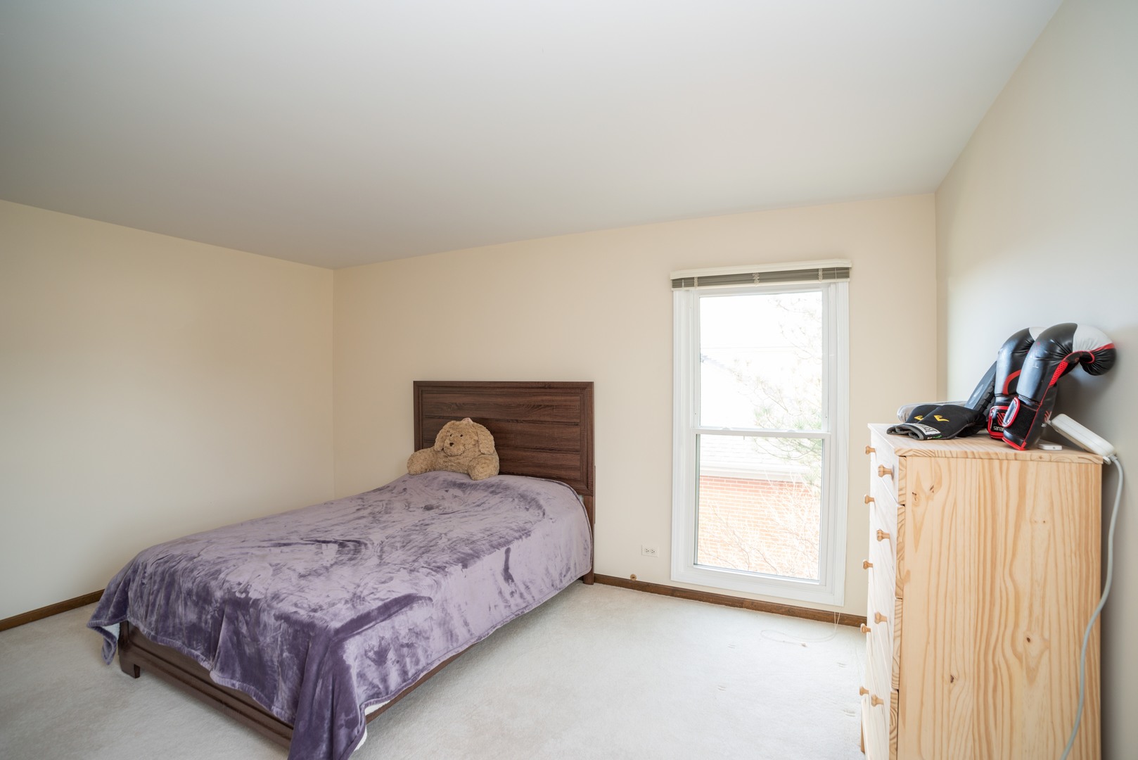 4138 Rutgers Lane Northbrook, IL 60062 - Photo 14 of 24