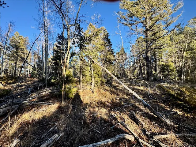 $19,500 | 5888 Loubier Road, San Luis, CO 81152