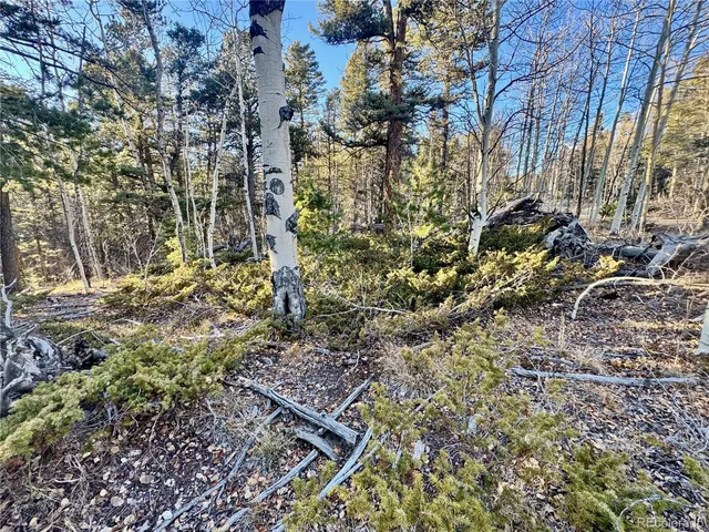 $19,500 | 5888 Loubier Road, San Luis, CO 81152