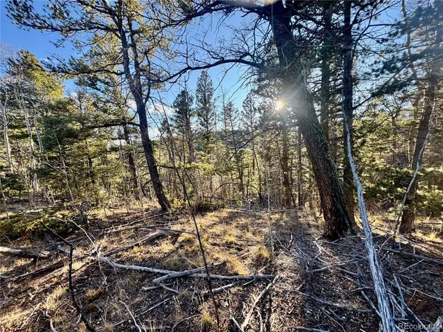 $19,500 | 5888 Loubier Road, San Luis, CO 81152