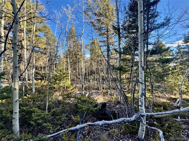 $19,500 | 5888 Loubier Road, San Luis, CO 81152