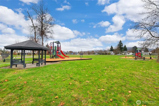 a view of a park with large trees