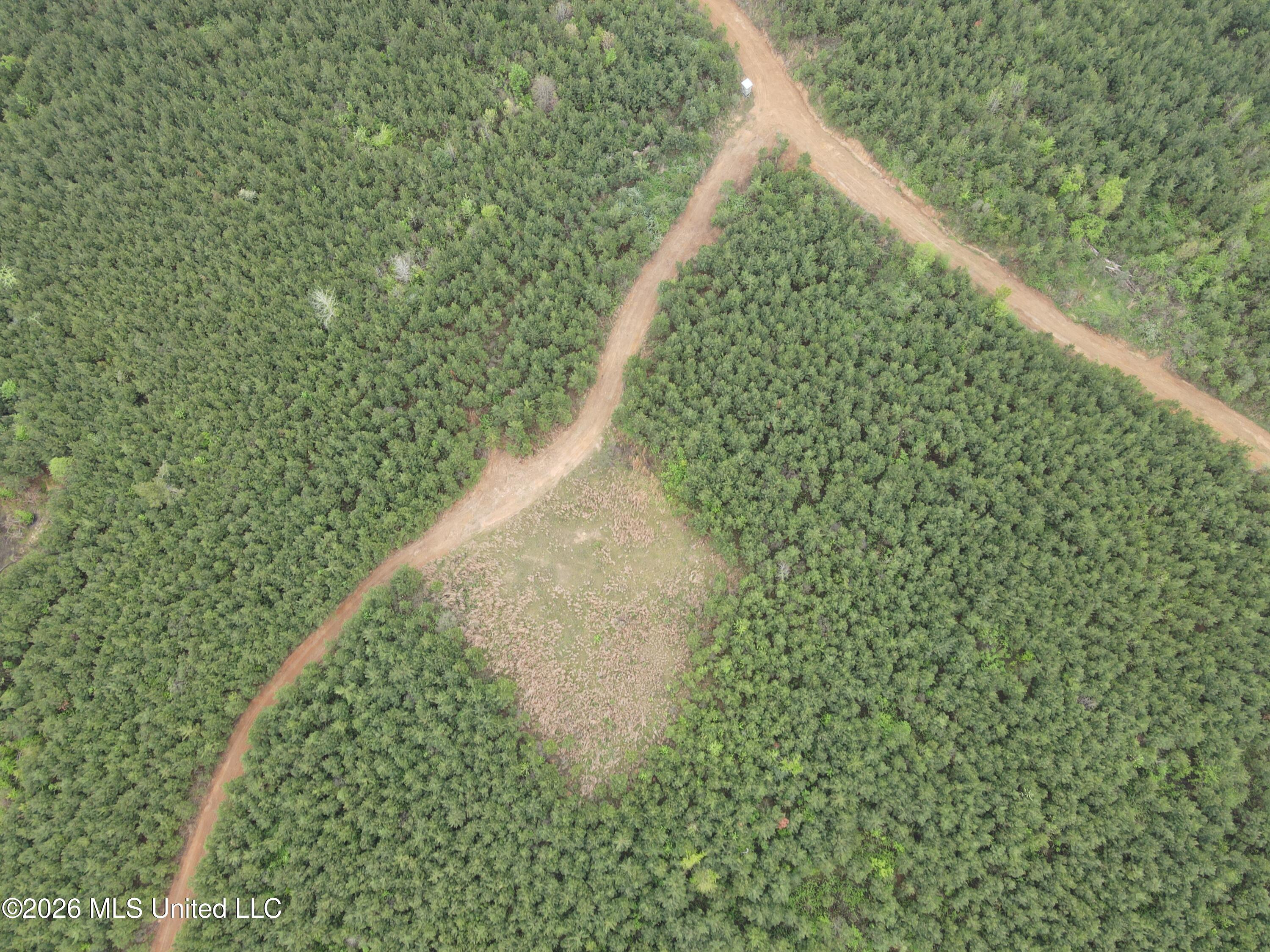 Harmony Road Crystal Springs, MS 39059 - Photo 11 of 43 Photo Apr 02 2026, 9 49 51 AM