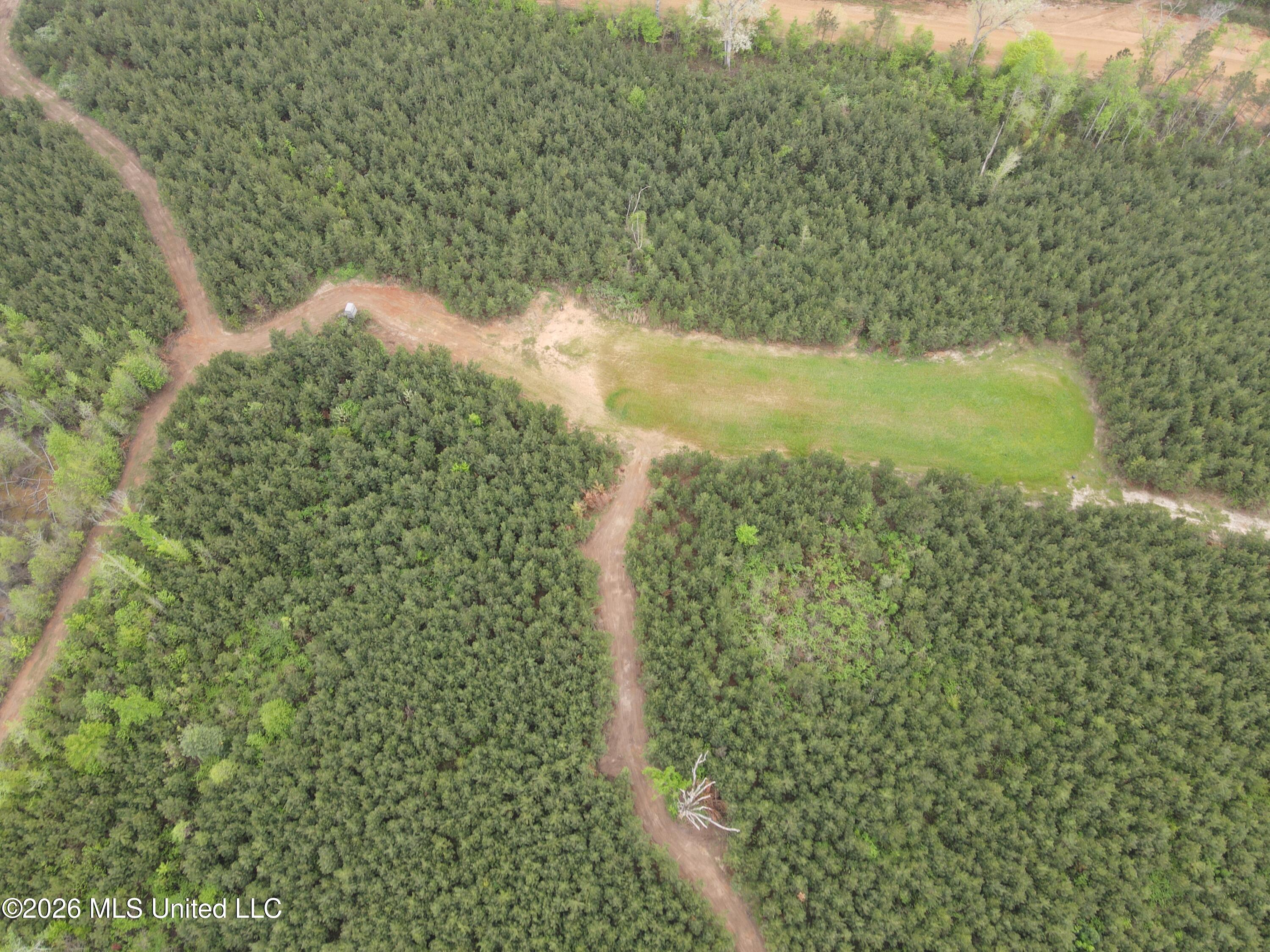 Harmony Road Crystal Springs, MS 39059 - Photo 12 of 43 Photo Apr 02 2026, 9 50 22 AM