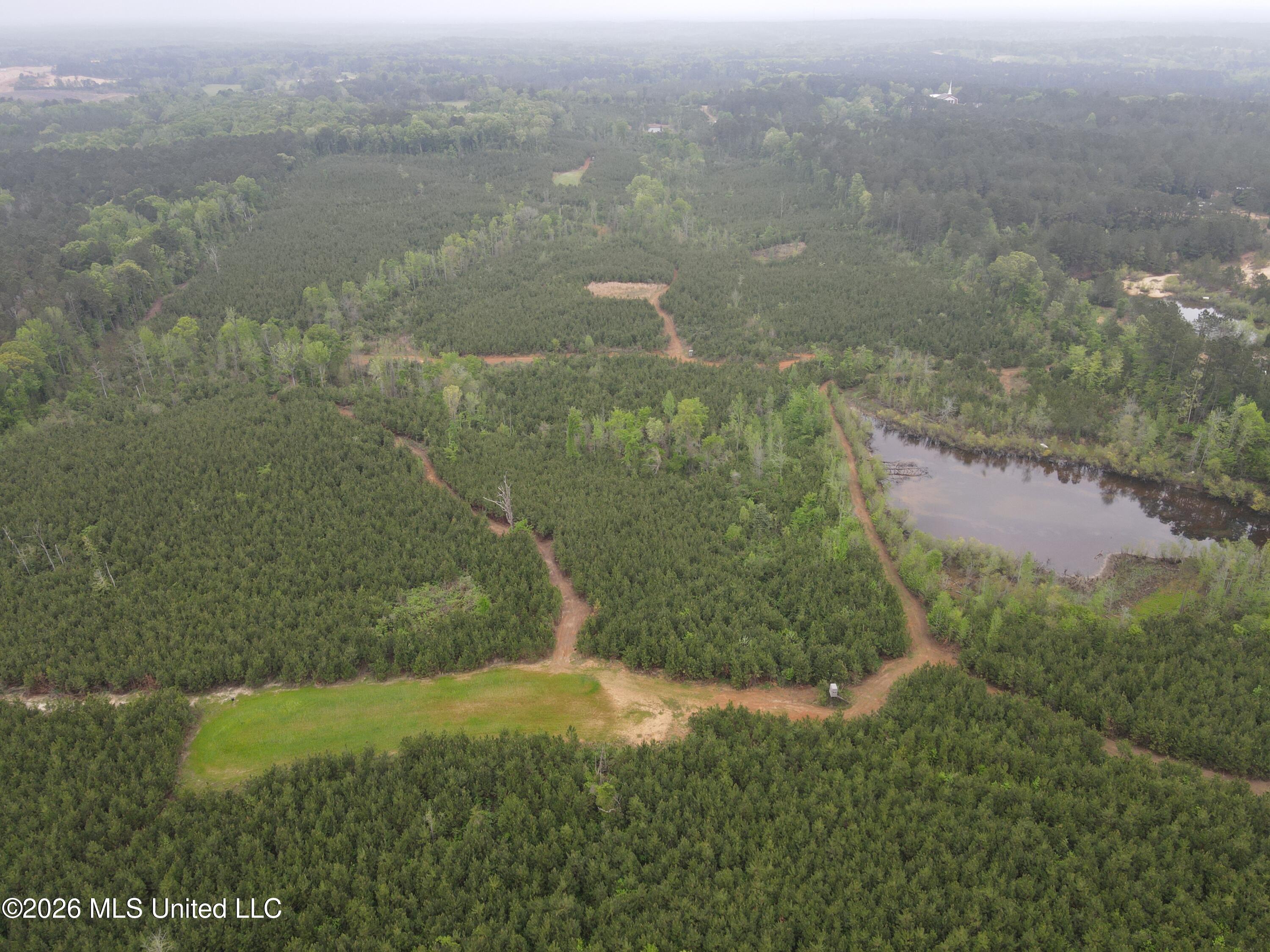 Harmony Road Crystal Springs, MS 39059 - Photo 14 of 43 Photo Apr 02 2026, 9 51 55 AM