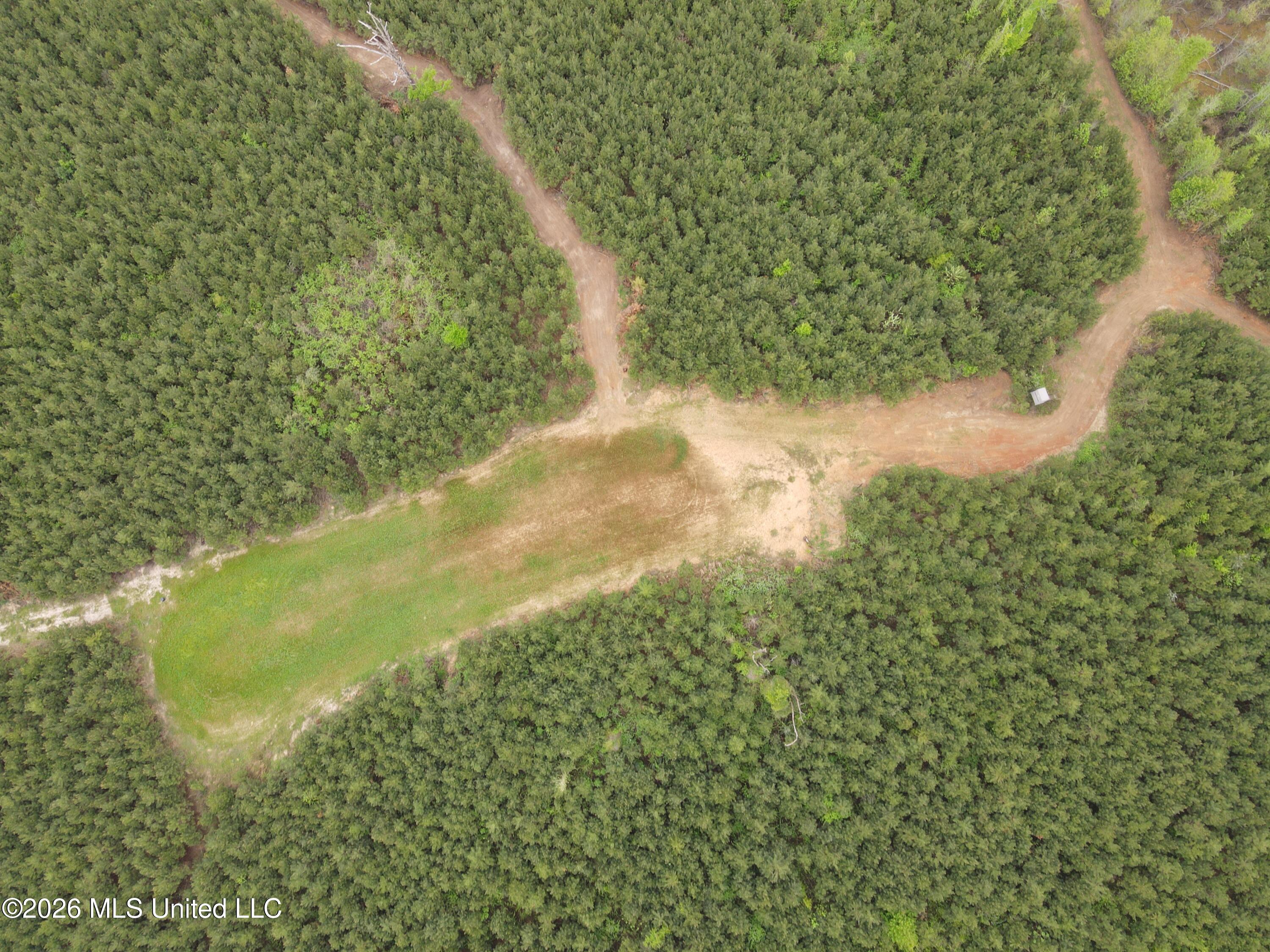 Harmony Road Crystal Springs, MS 39059 - Photo 15 of 43 Photo Apr 02 2026, 9 52 12 AM