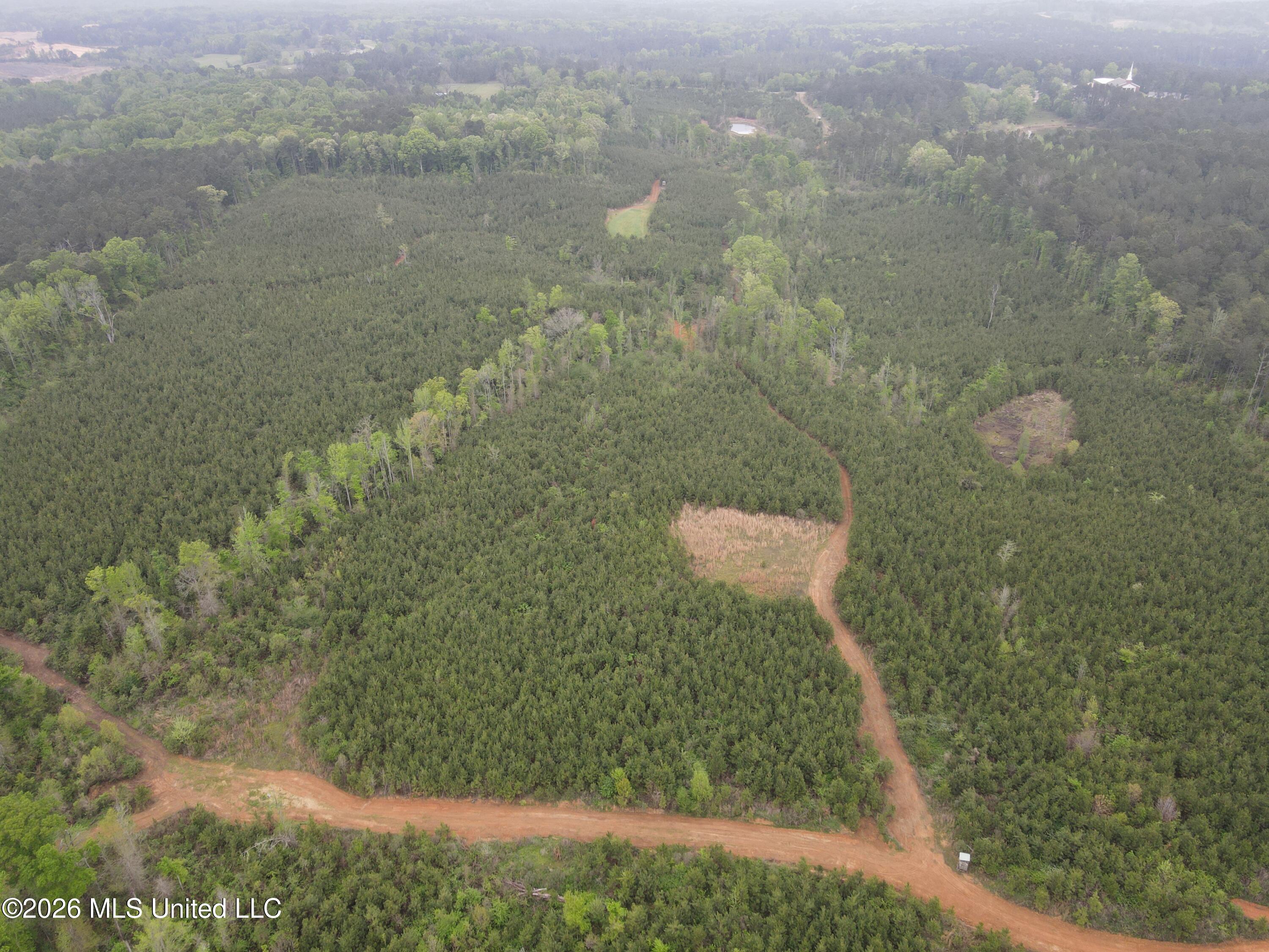 Harmony Road Crystal Springs, MS 39059 - Photo 16 of 43 Photo Apr 02 2026, 9 52 24 AM