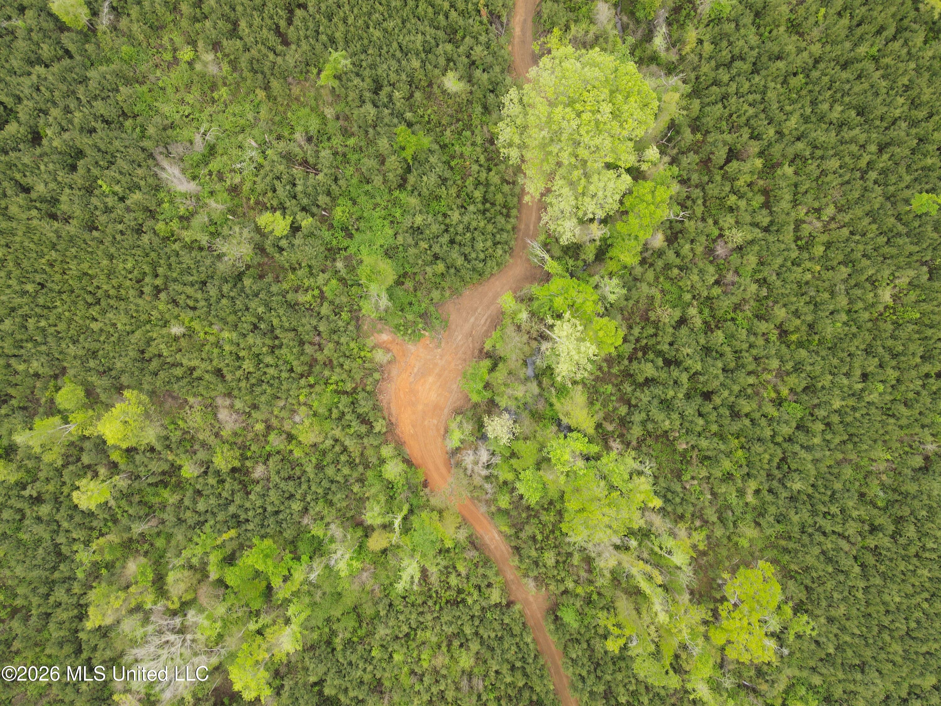 Harmony Road Crystal Springs, MS 39059 - Photo 17 of 43 Photo Apr 02 2026, 9 52 59 AM