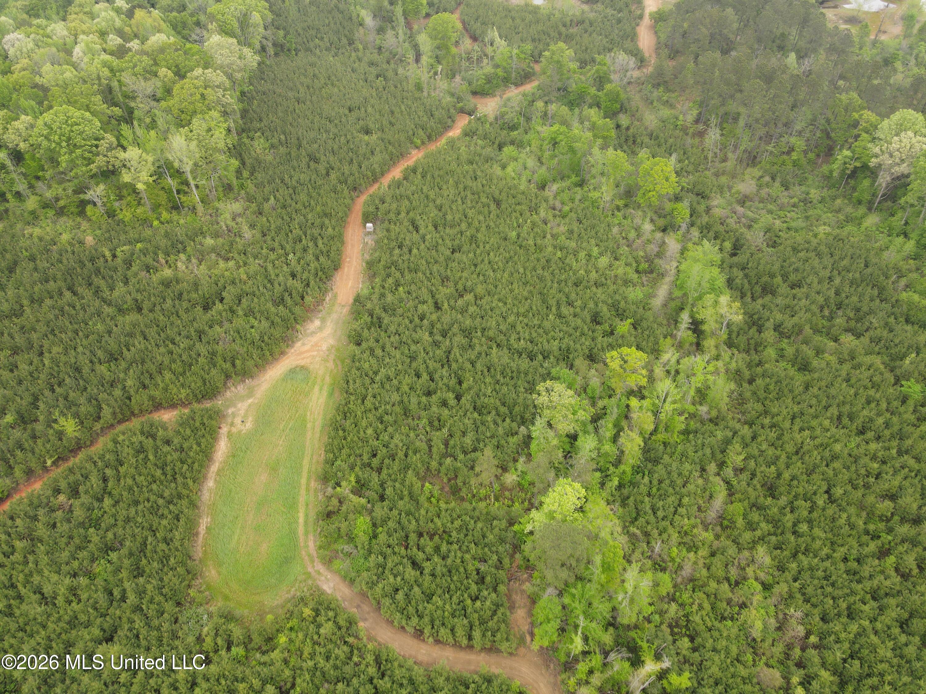 Harmony Road Crystal Springs, MS 39059 - Photo 18 of 43 Photo Apr 02 2026, 9 53 05 AM