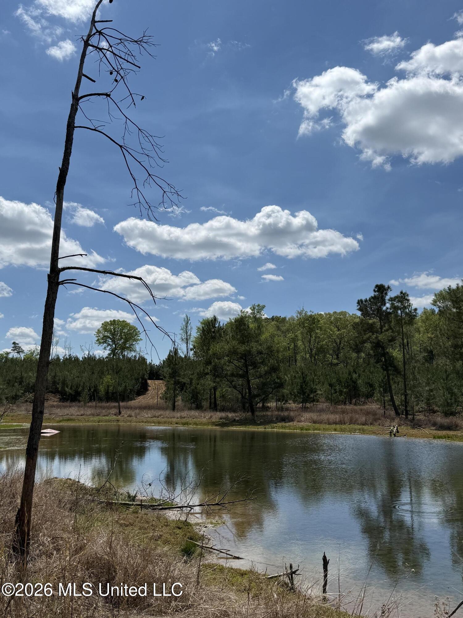 Harmony Road Crystal Springs, MS 39059 - Photo 20 of 43 Photo Mar 27 2026, 1 43 58 PM