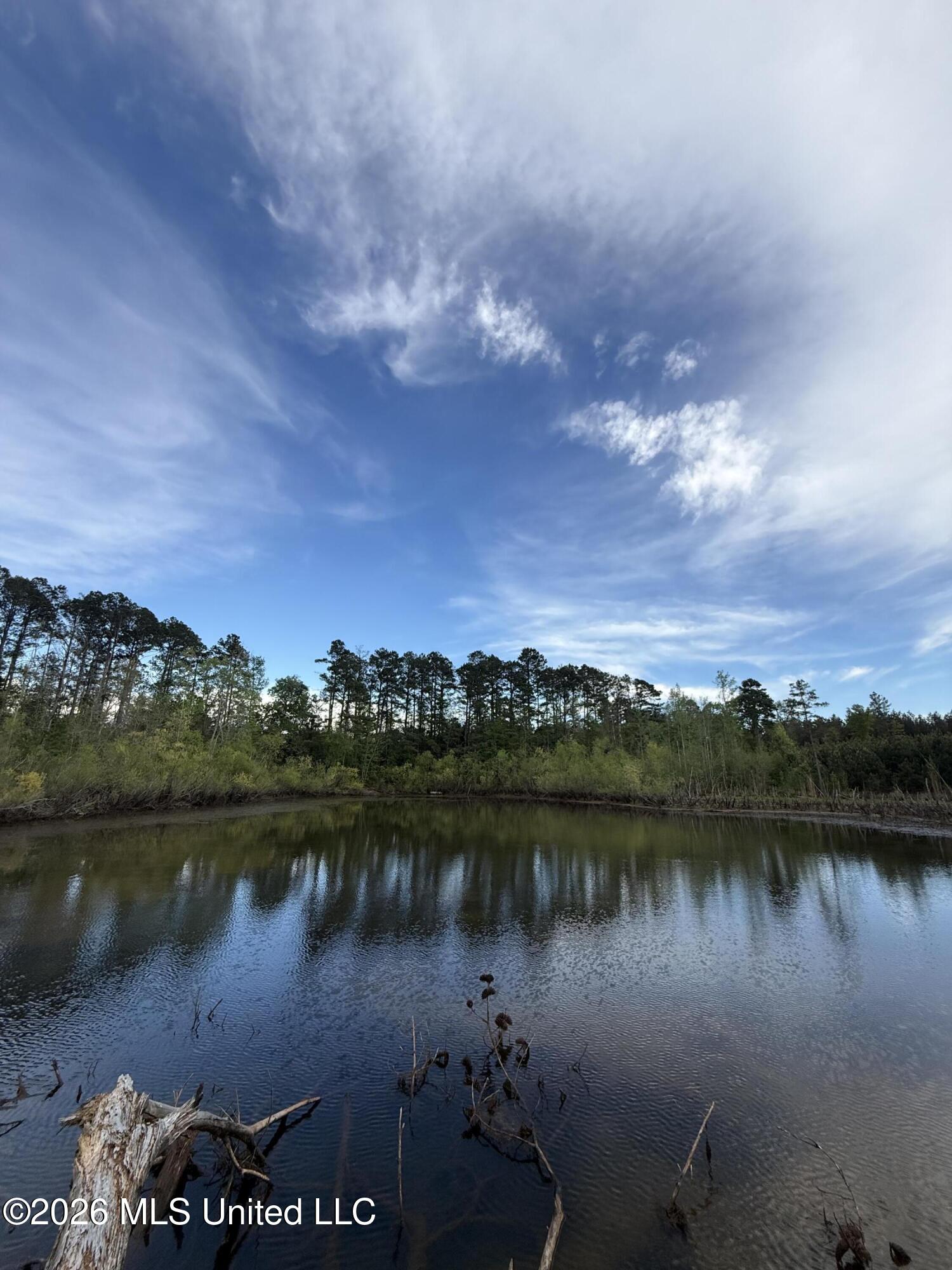 Harmony Road Crystal Springs, MS 39059 - Photo 2 of 43 2