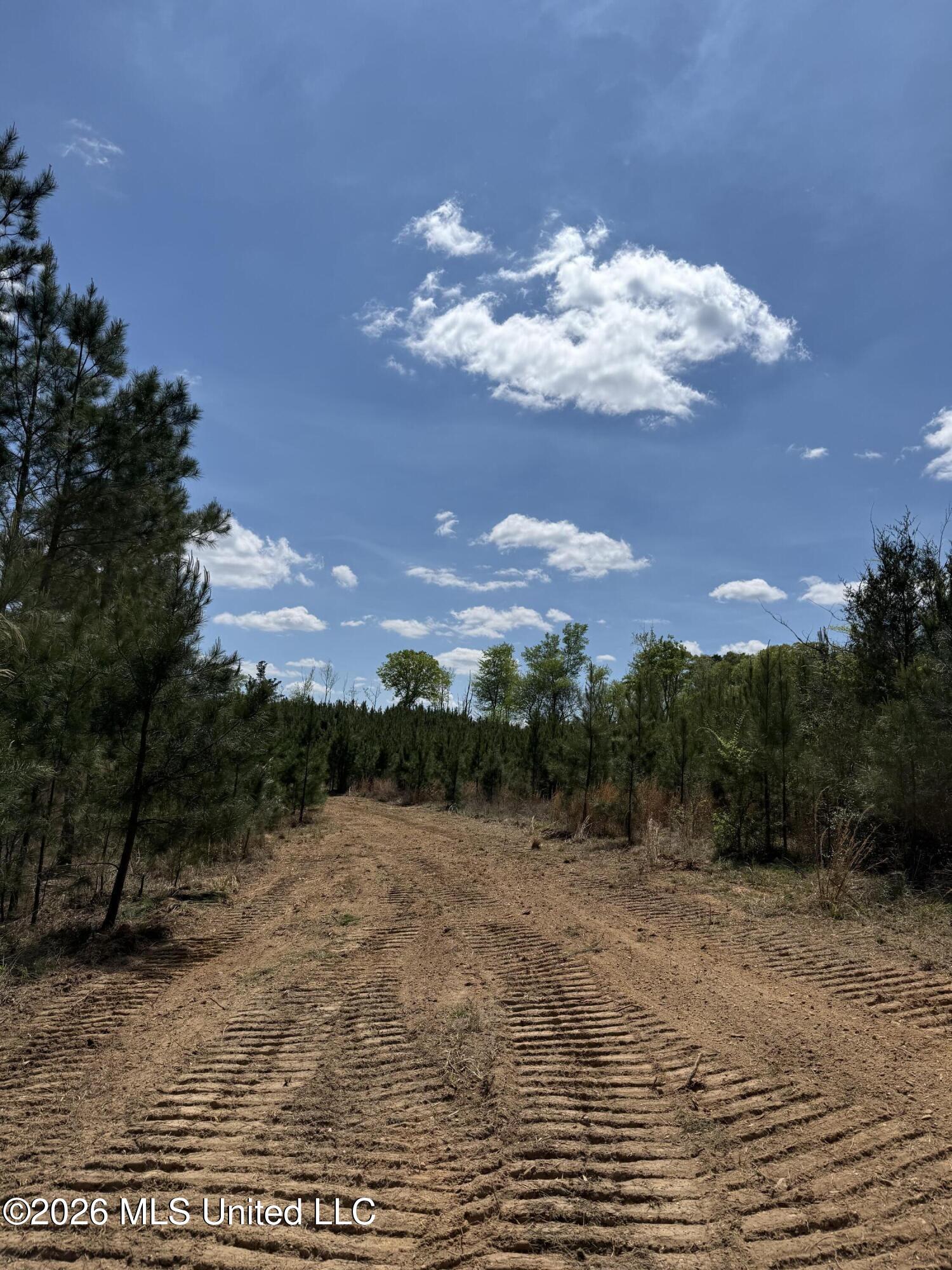 Harmony Road Crystal Springs, MS 39059 - Photo 21 of 43 Photo Mar 27 2026, 1 52 52 PM