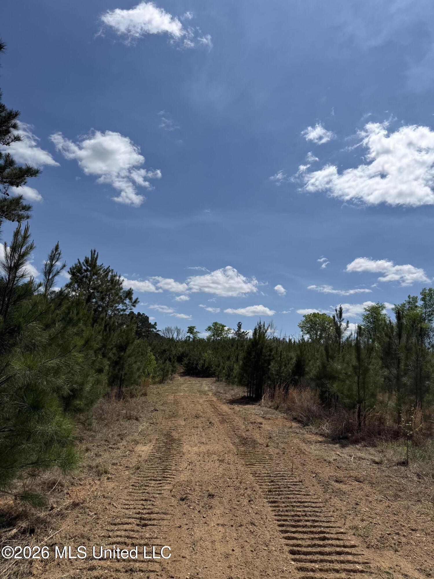 Harmony Road Crystal Springs, MS 39059 - Photo 22 of 43 Photo Mar 27 2026, 1 53 16 PM