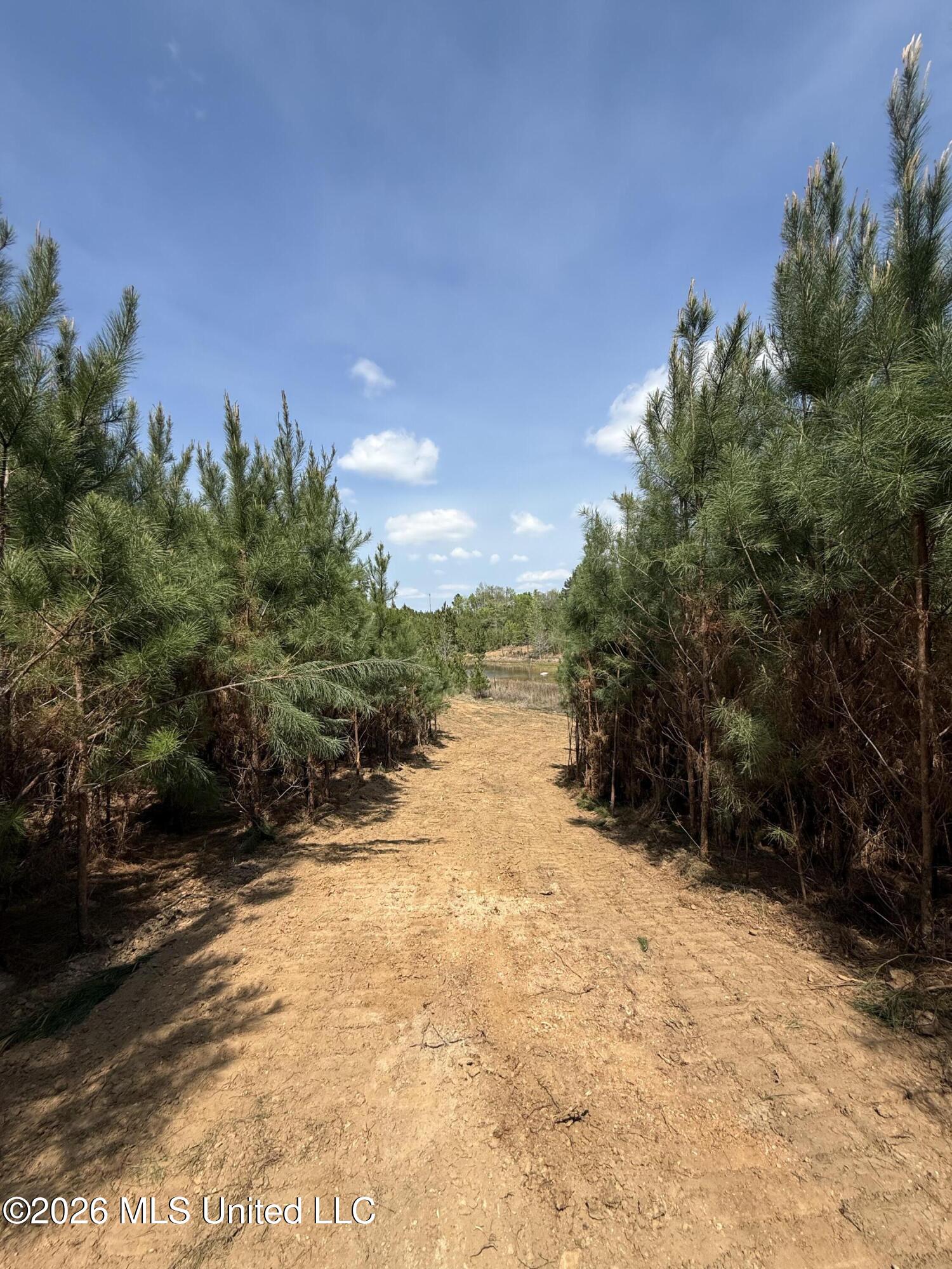 Harmony Road Crystal Springs, MS 39059 - Photo 23 of 43 Photo Mar 27 2026, 1 54 40 PM