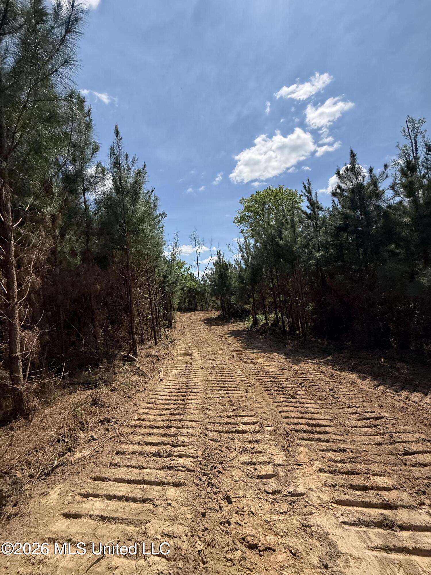 Harmony Road Crystal Springs, MS 39059 - Photo 24 of 43 Photo Mar 27 2026, 1 54 51 PM