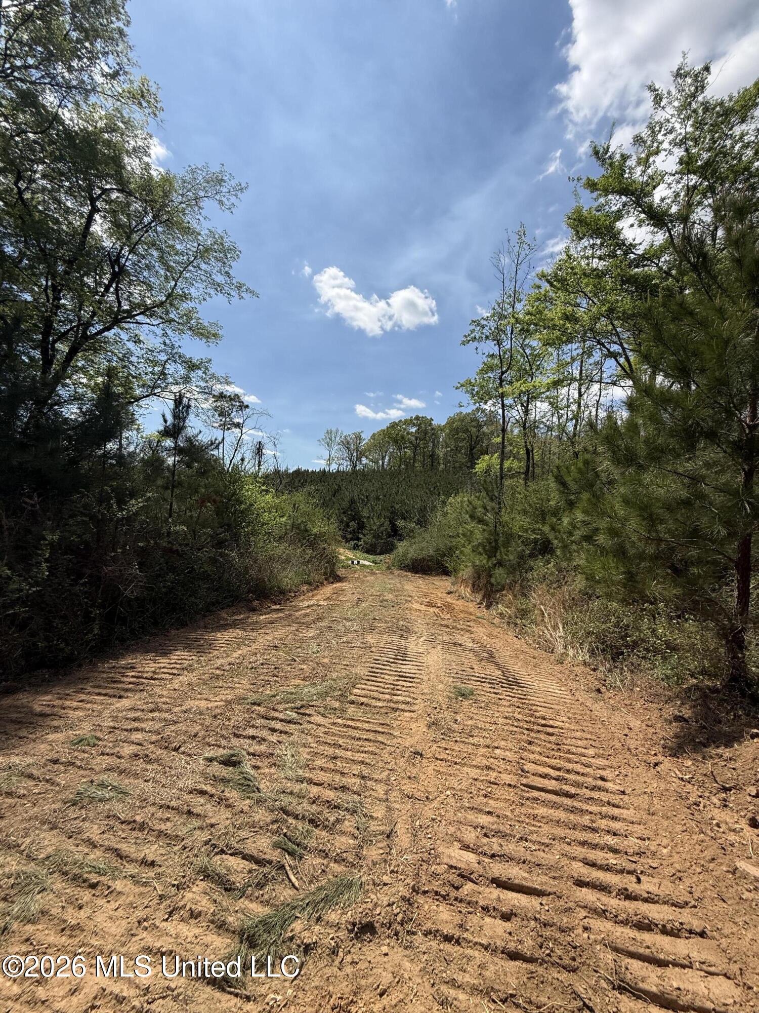 Harmony Road Crystal Springs, MS 39059 - Photo 25 of 43 Photo Mar 27 2026, 1 55 48 PM
