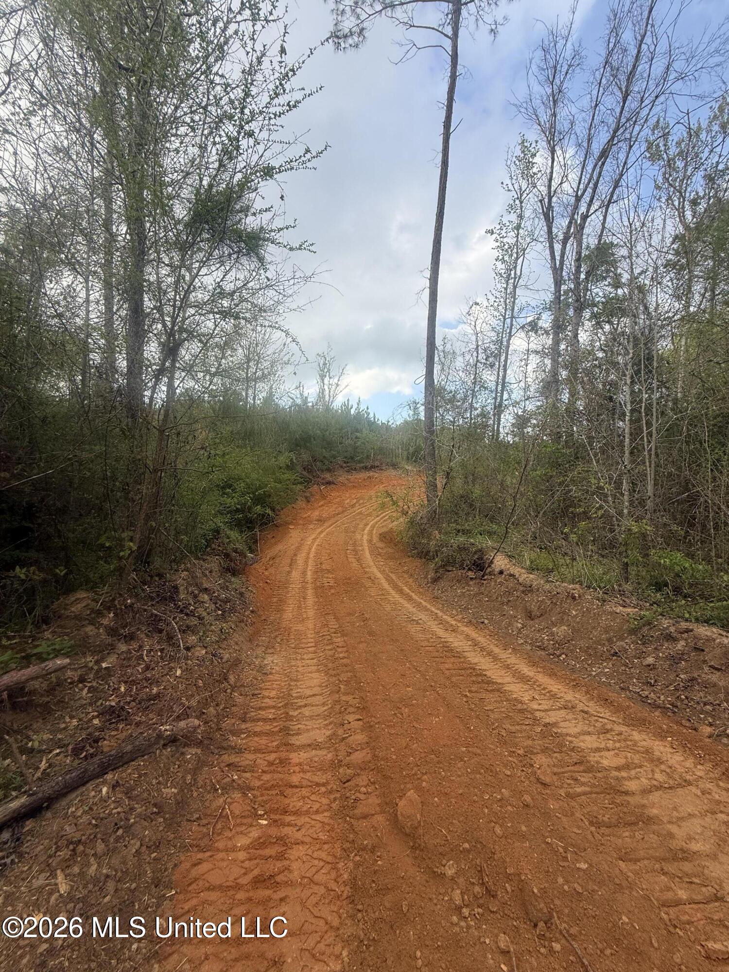 Harmony Road Crystal Springs, MS 39059 - Photo 26 of 43 Photo Mar 30 2026, 5 47 53 PM