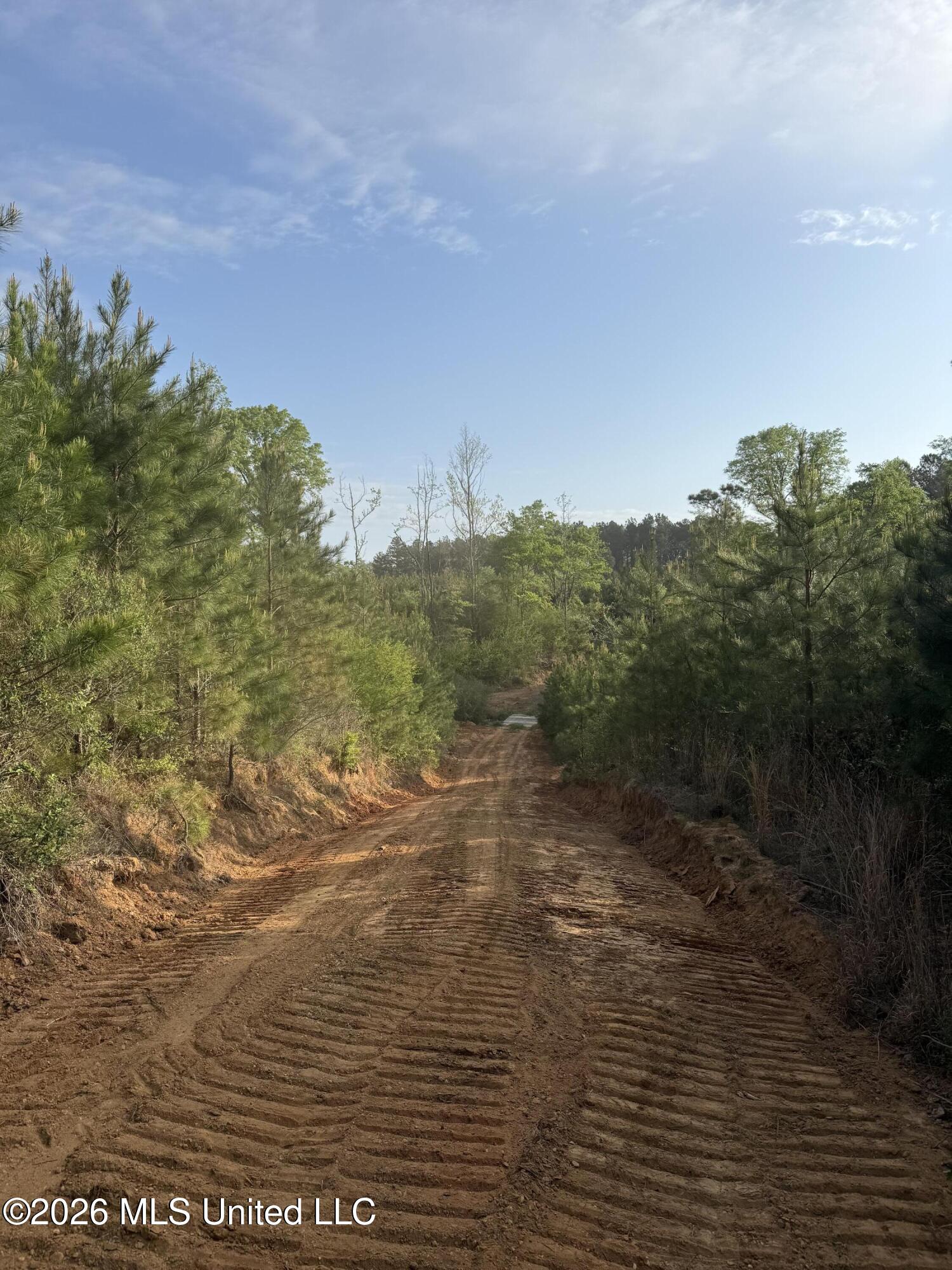 Harmony Road Crystal Springs, MS 39059 - Photo 28 of 43 Photo Mar 30 2026, 8 18 06 AM