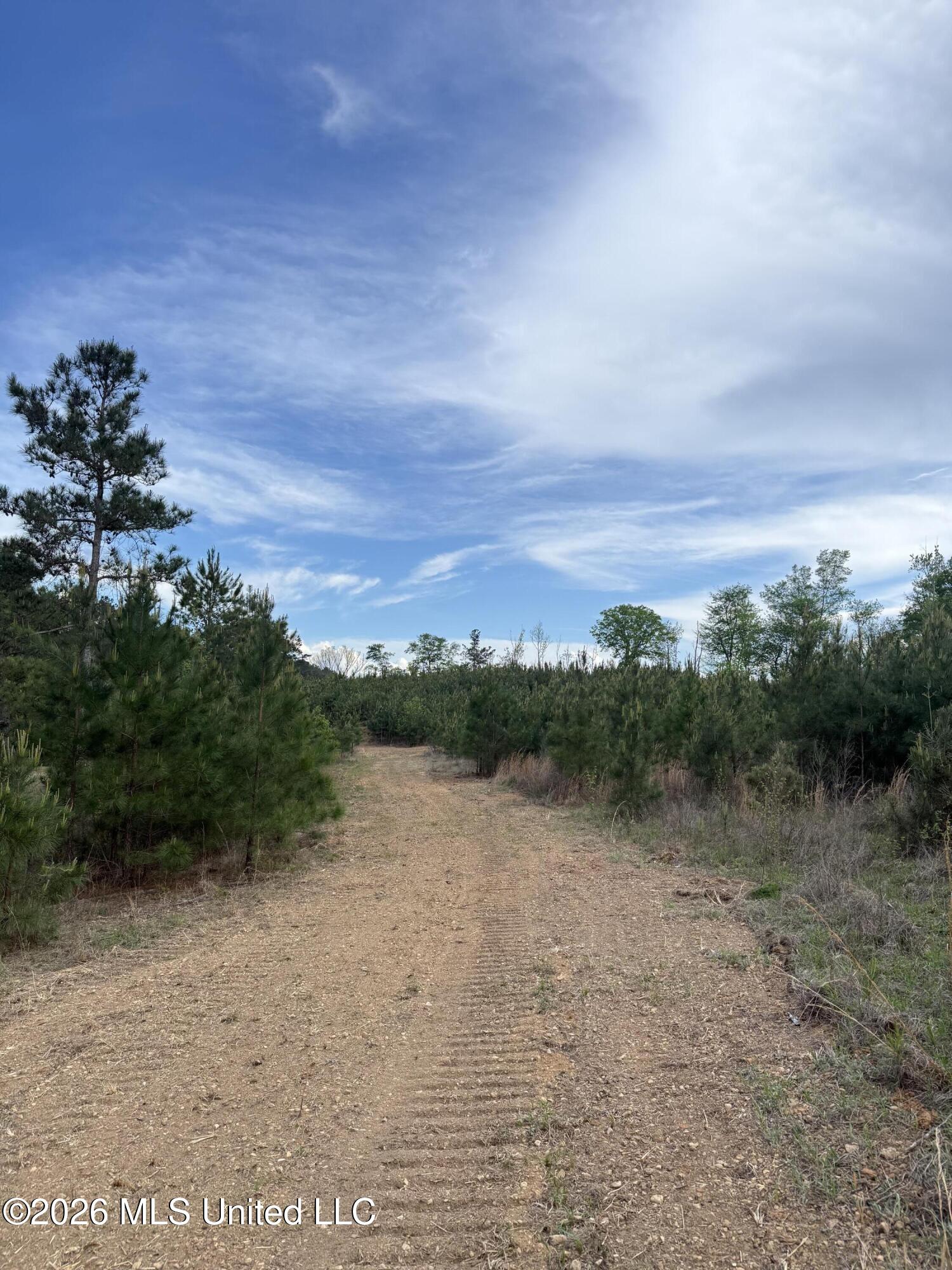 Harmony Road Crystal Springs, MS 39059 - Photo 30 of 43 Photo Mar 31 2026, 5 05 52 PM