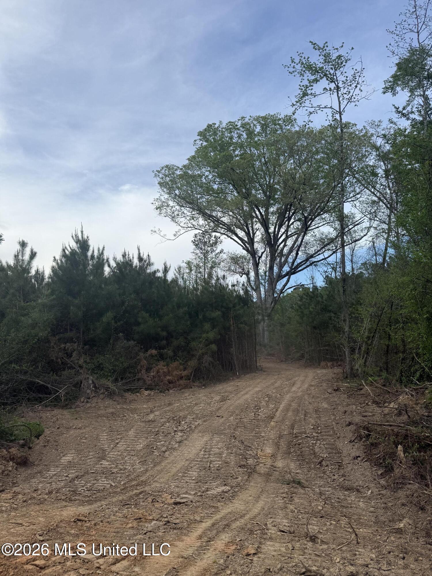 Harmony Road Crystal Springs, MS 39059 - Photo 31 of 43 Photo Mar 31 2026, 5 10 28 PM