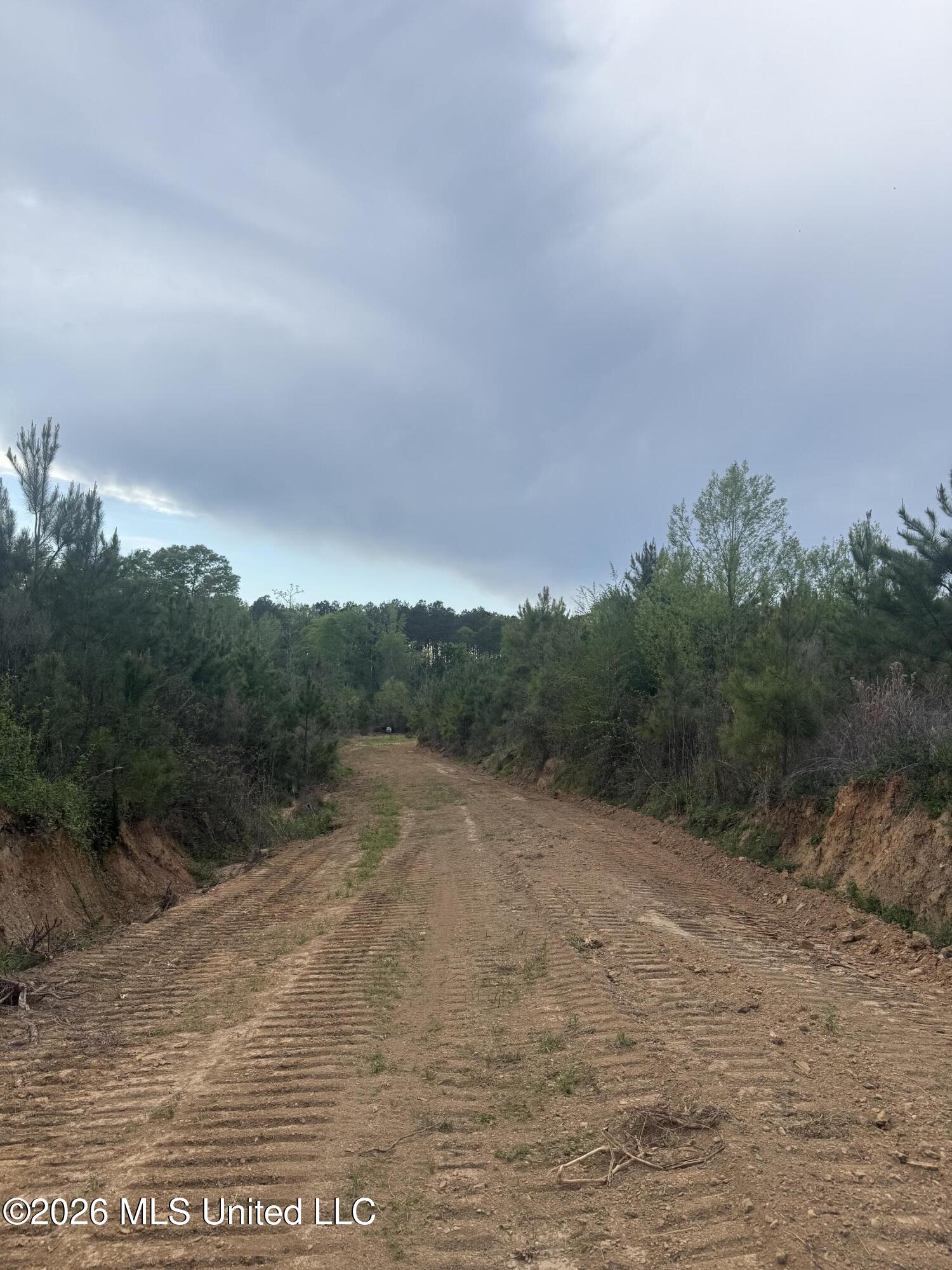 Harmony Road Crystal Springs, MS 39059 - Photo 33 of 43 Photo Mar 31 2026, 5 12 52 PM