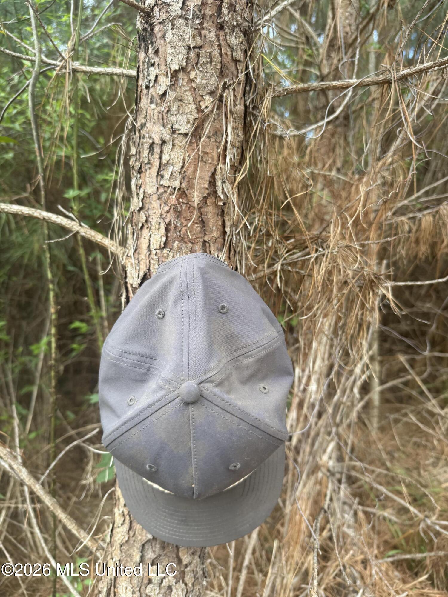 Harmony Road Crystal Springs, MS 39059 - Photo 34 of 43 Photo Mar 31 2026, 5 15 17 PM