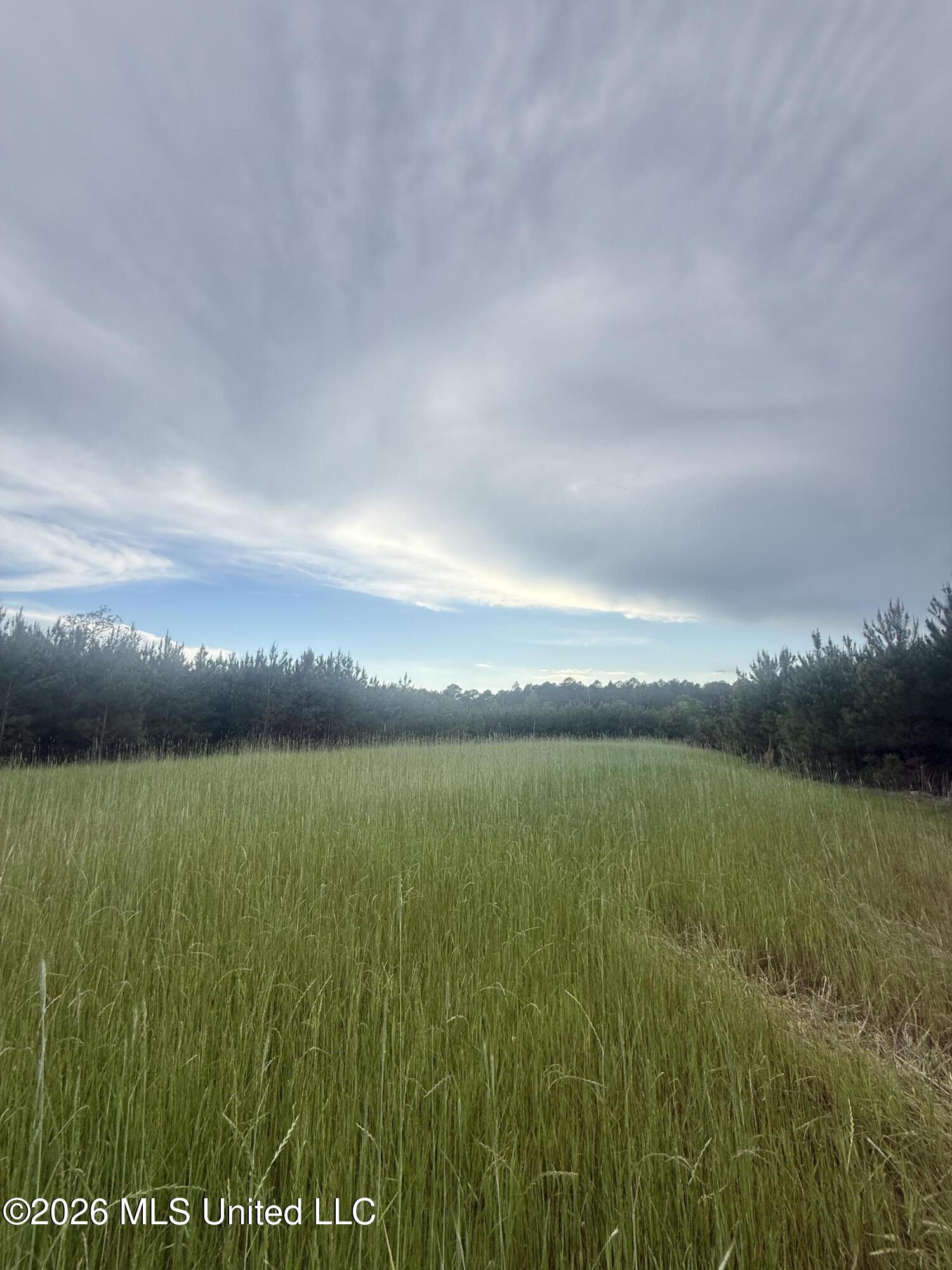 Harmony Road Crystal Springs, MS 39059 - Photo 35 of 43 Photo Mar 31 2026, 5 17 09 PM