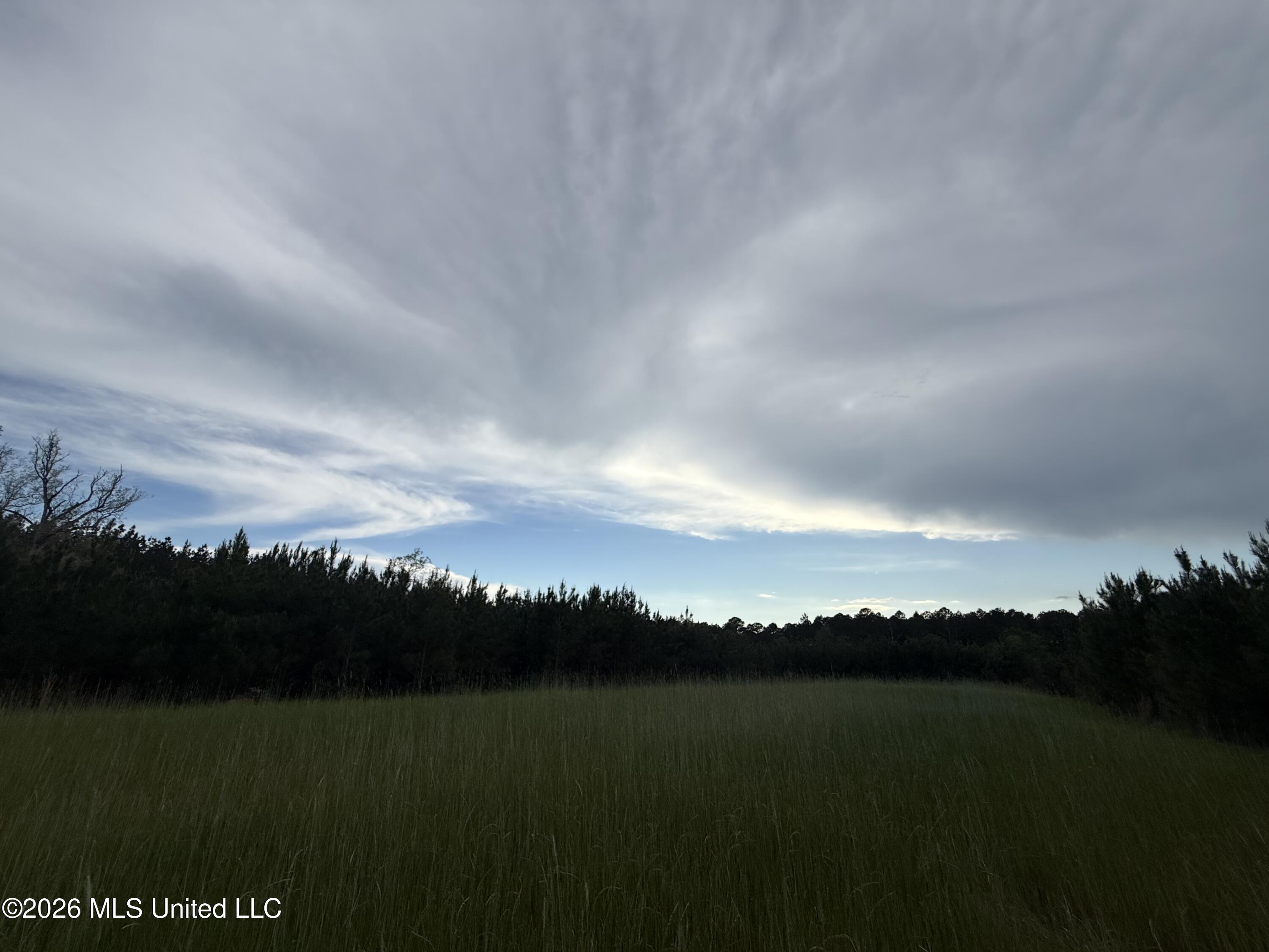 Harmony Road Crystal Springs, MS 39059 - Photo 36 of 43 Photo Mar 31 2026, 5 17 22 PM
