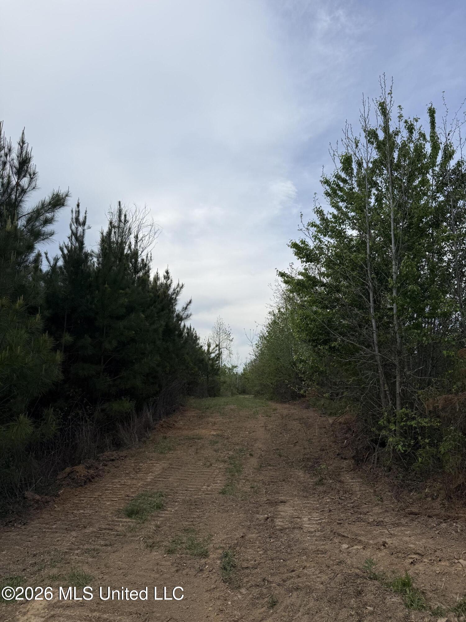 Harmony Road Crystal Springs, MS 39059 - Photo 37 of 43 Photo Mar 31 2026, 5 17 59 PM