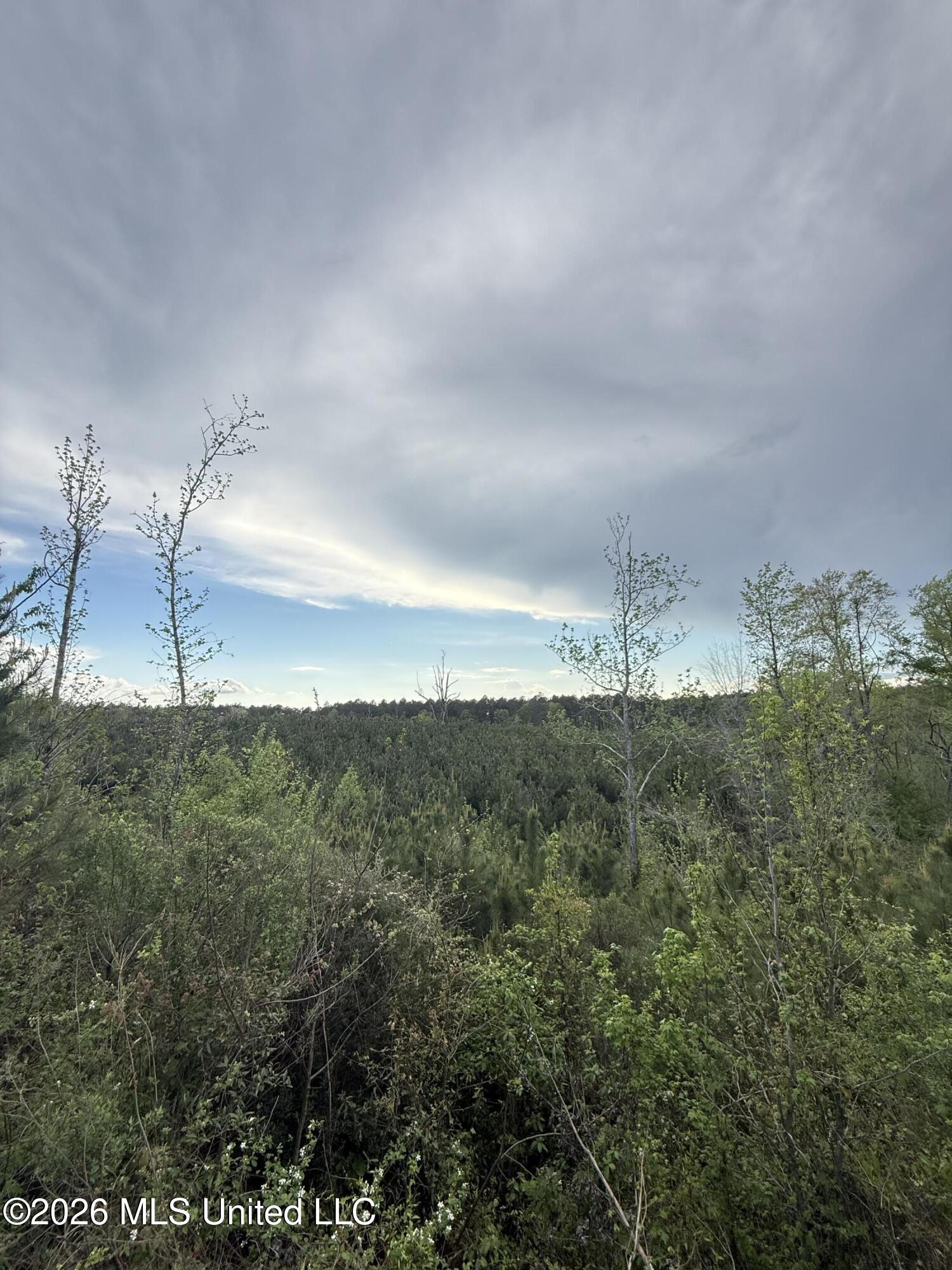 Harmony Road Crystal Springs, MS 39059 - Photo 38 of 43 Photo Mar 31 2026, 5 20 50 PM