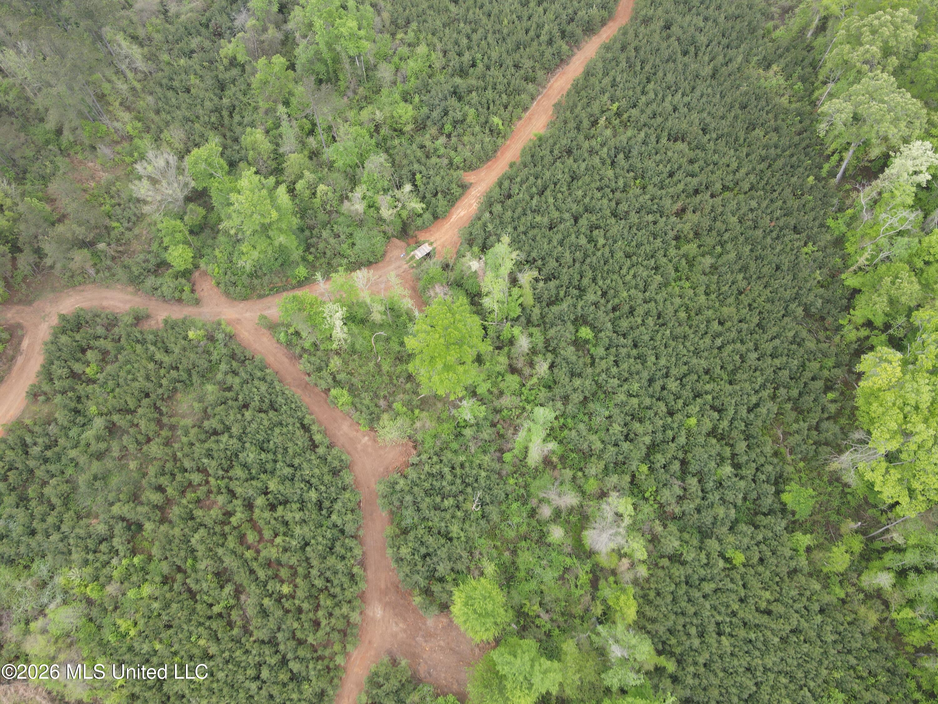 Harmony Road Crystal Springs, MS 39059 - Photo 6 of 43 Photo Apr 02 2026, 9 48 15 AM