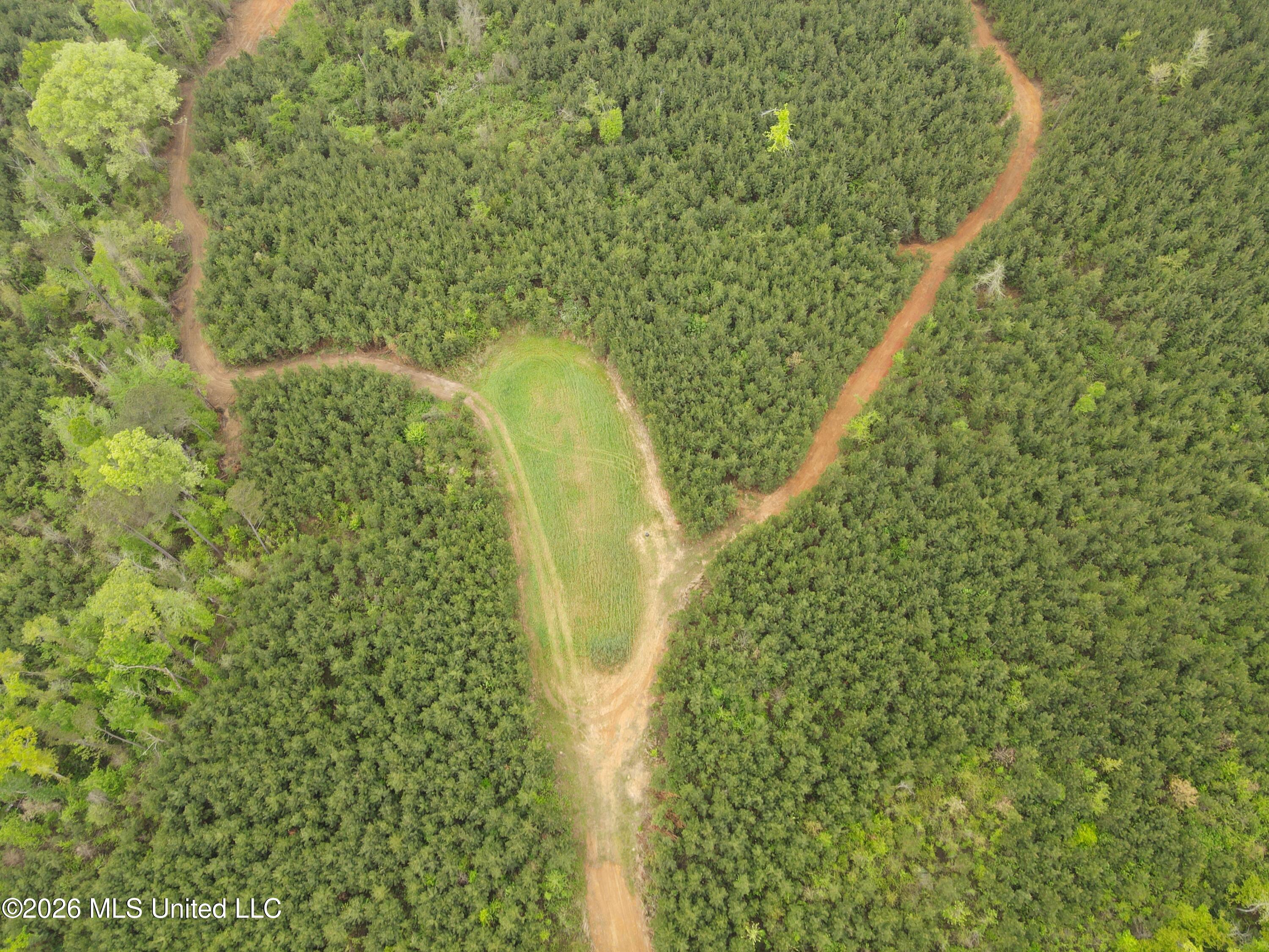 Harmony Road Crystal Springs, MS 39059 - Photo 7 of 43 Photo Apr 02 2026, 9 48 49 AM