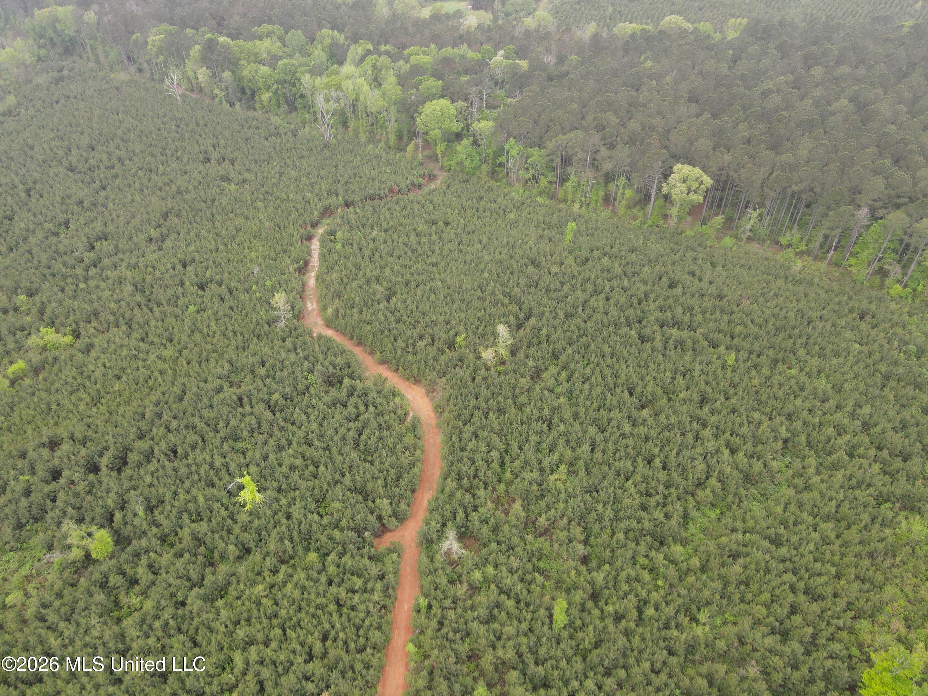 Harmony Road Crystal Springs, MS 39059 - Photo 8 of 43 Photo Apr 02 2026, 9 49 03 AM