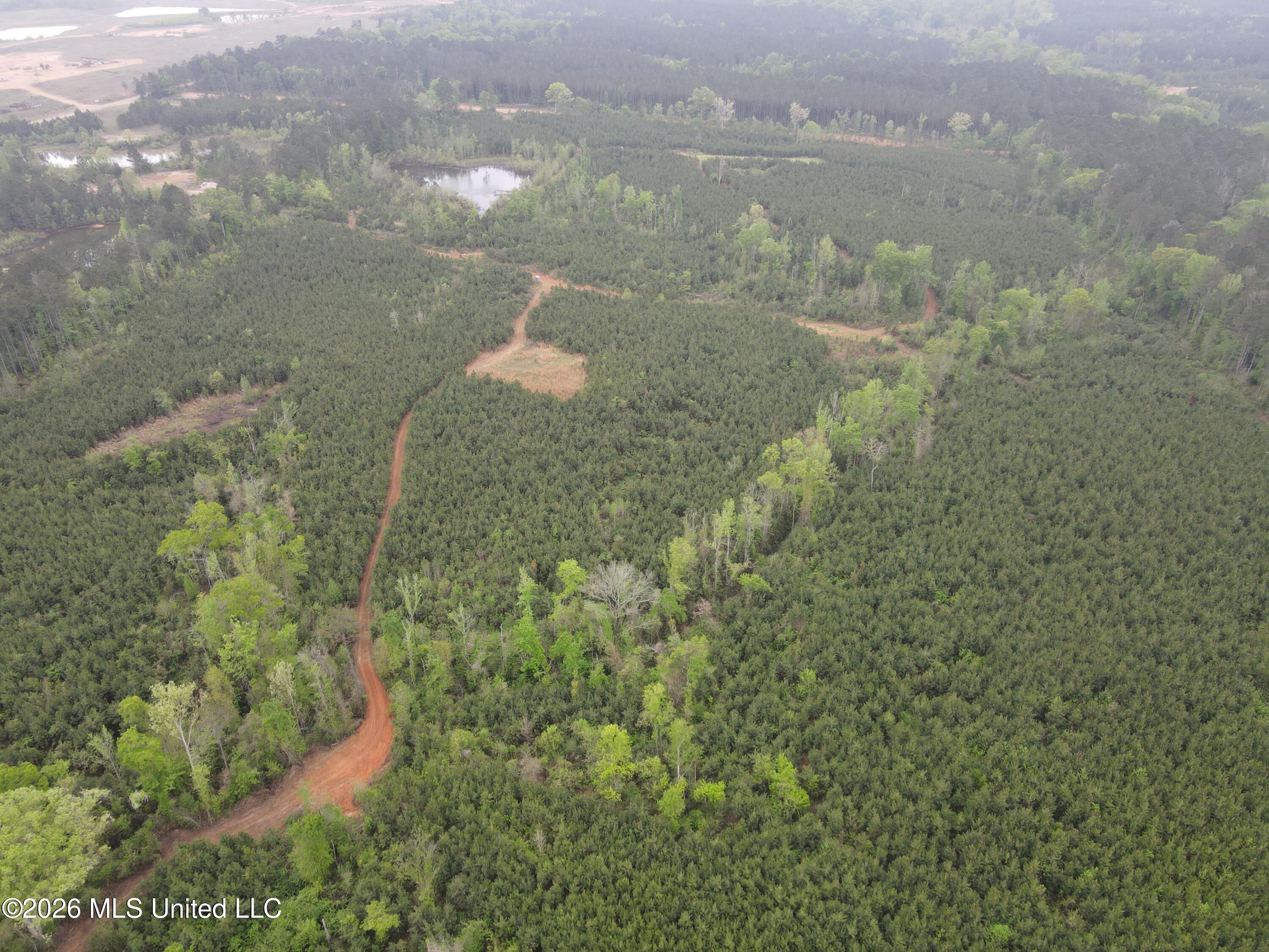 Harmony Road Crystal Springs, MS 39059 - Photo 9 of 43 Photo Apr 02 2026, 9 49 18 AM