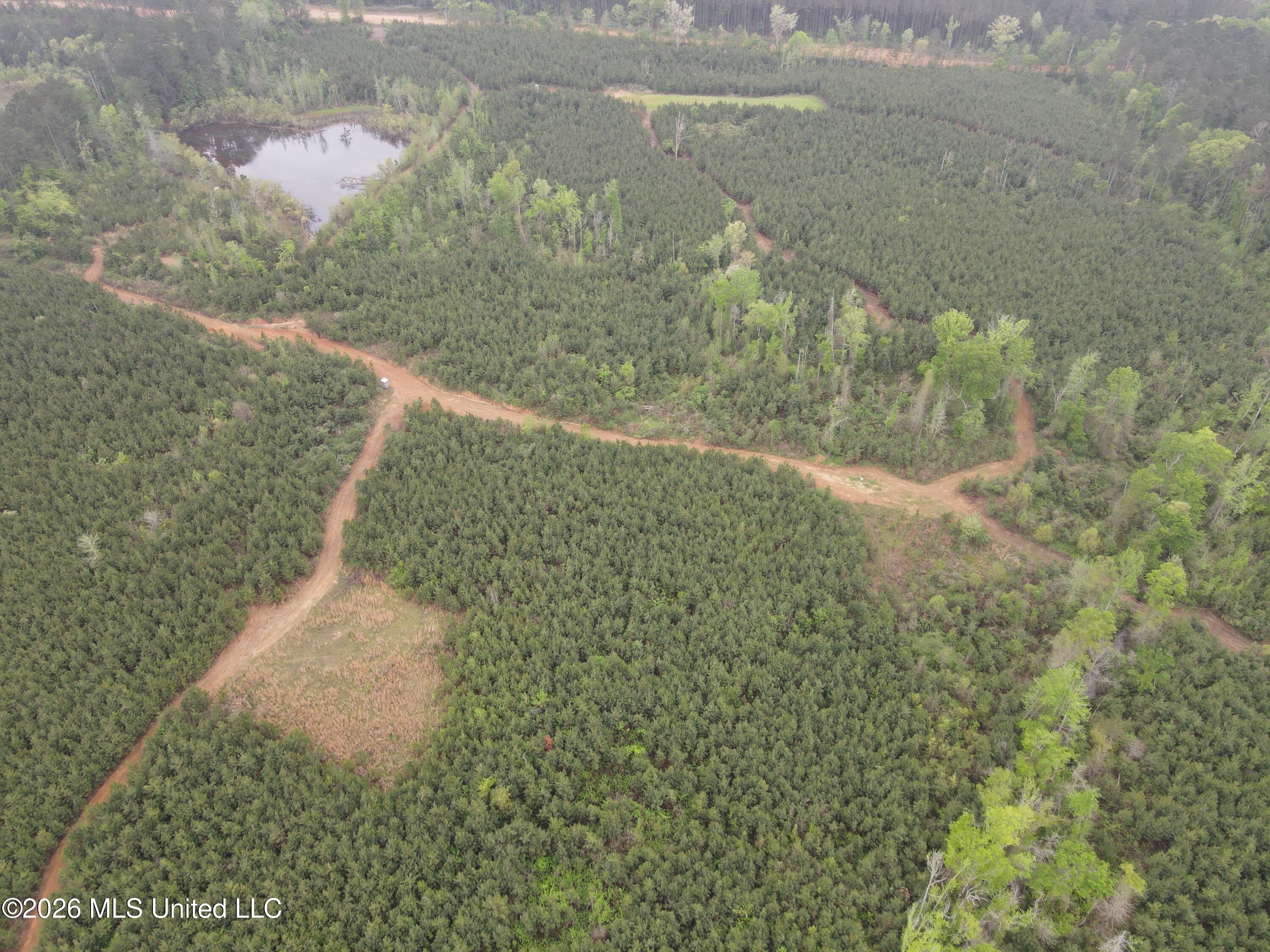 Harmony Road Crystal Springs, MS 39059 - Photo 10 of 43 Photo Apr 02 2026, 9 49 39 AM