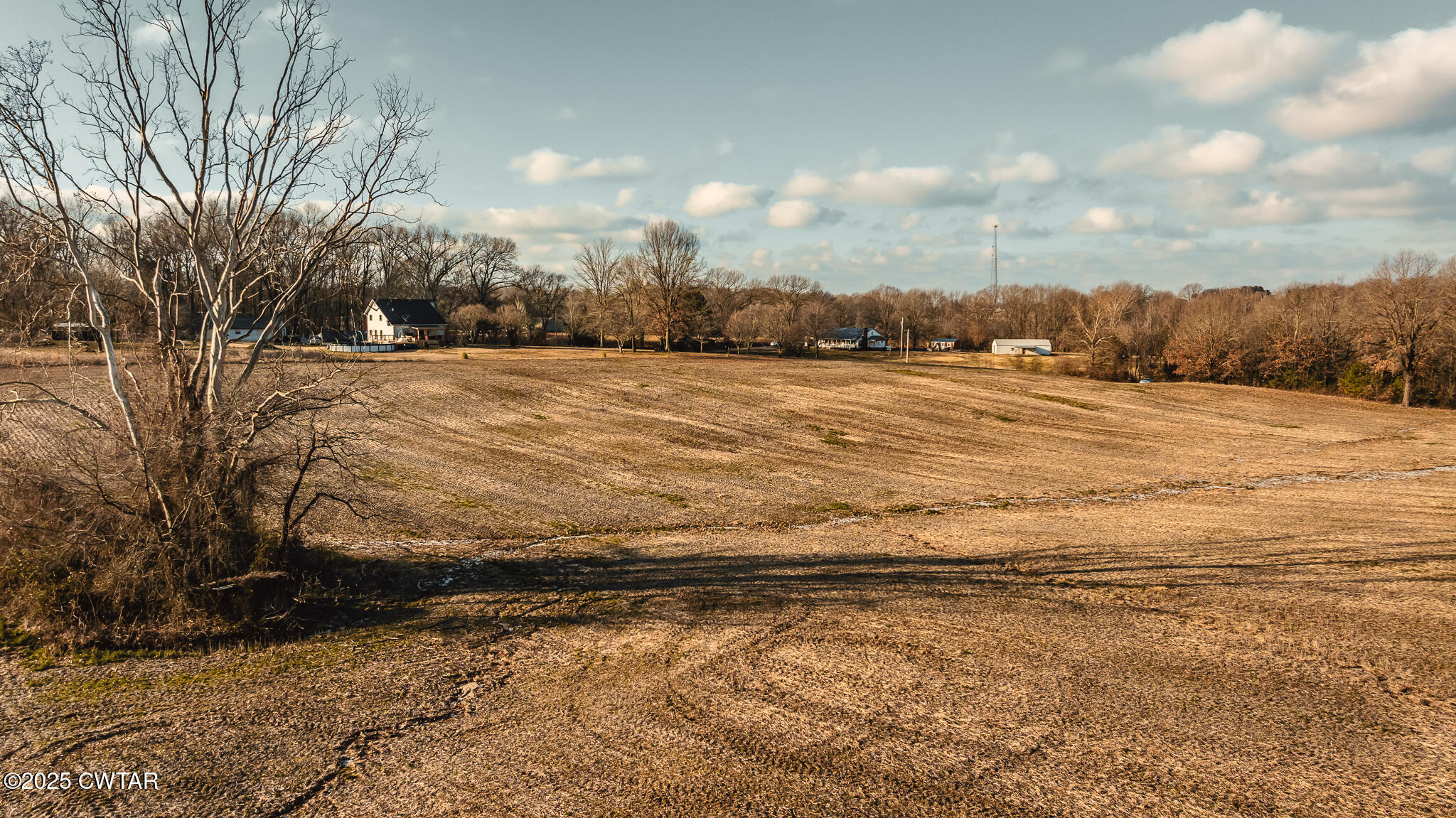 0 Ernest Paschall Road Dyer, TN 38330 - Photo 11 of 14 a view of a yard